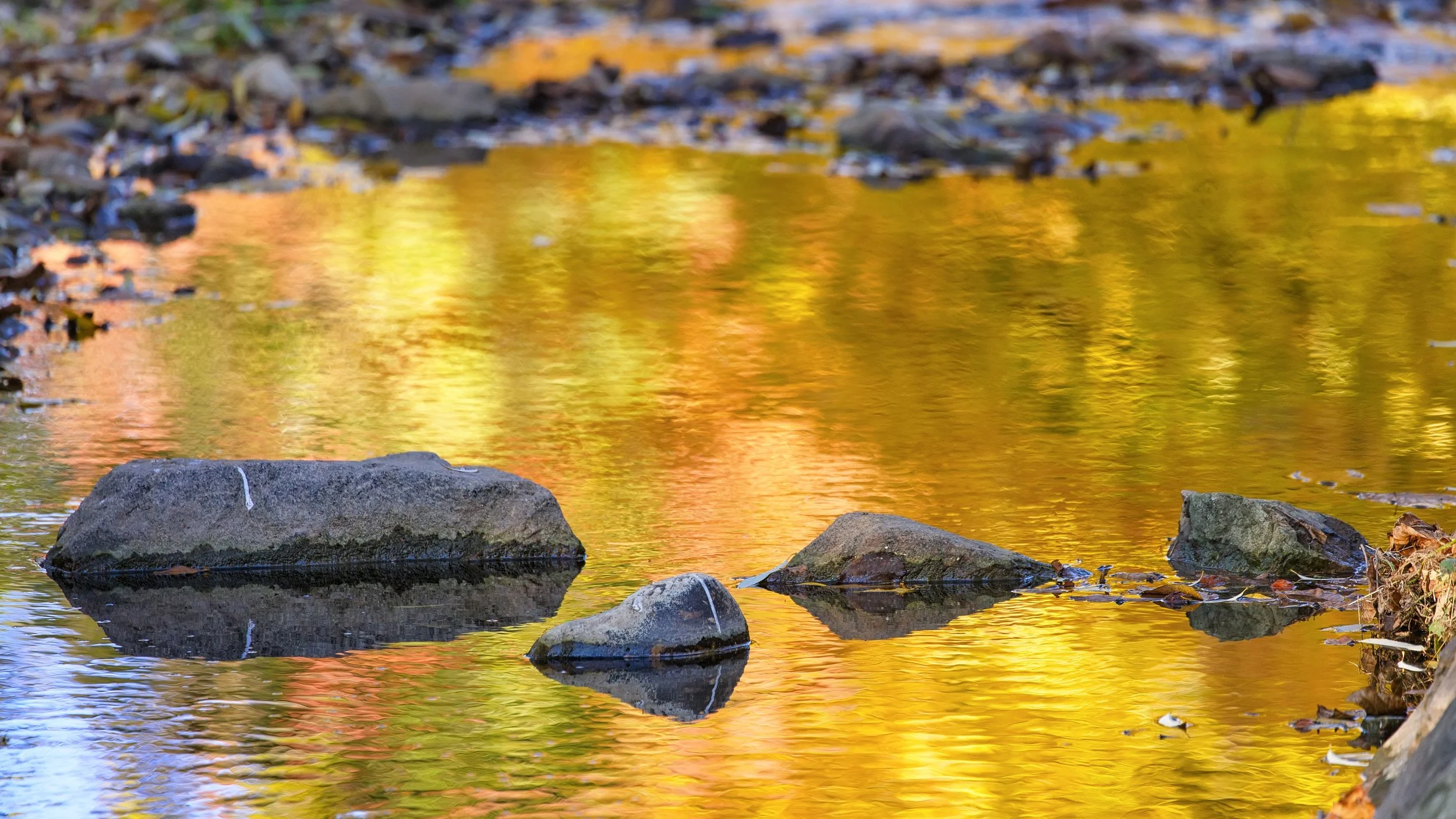 IMG_0363_bearb-Bearbeitet Kopie.jpg