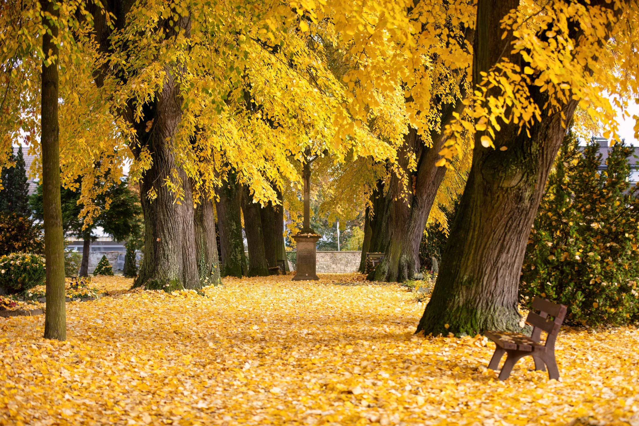 5J6A7558-Bearbeitet-Bearbeitet Kopie.jpg