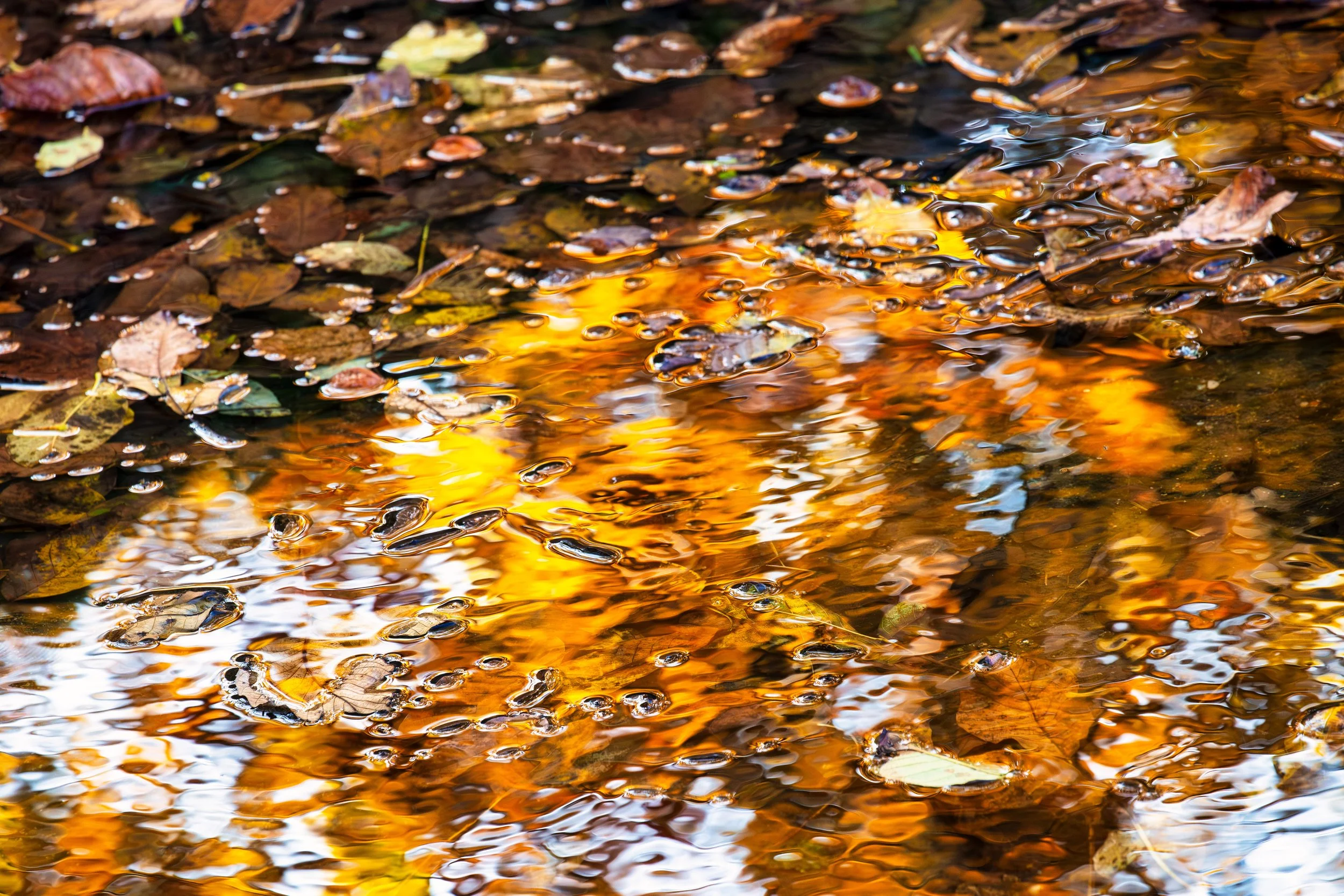 IMG_0265-Verbessert-RR-Bearbeitet-Bearbeitet Kopie.jpg