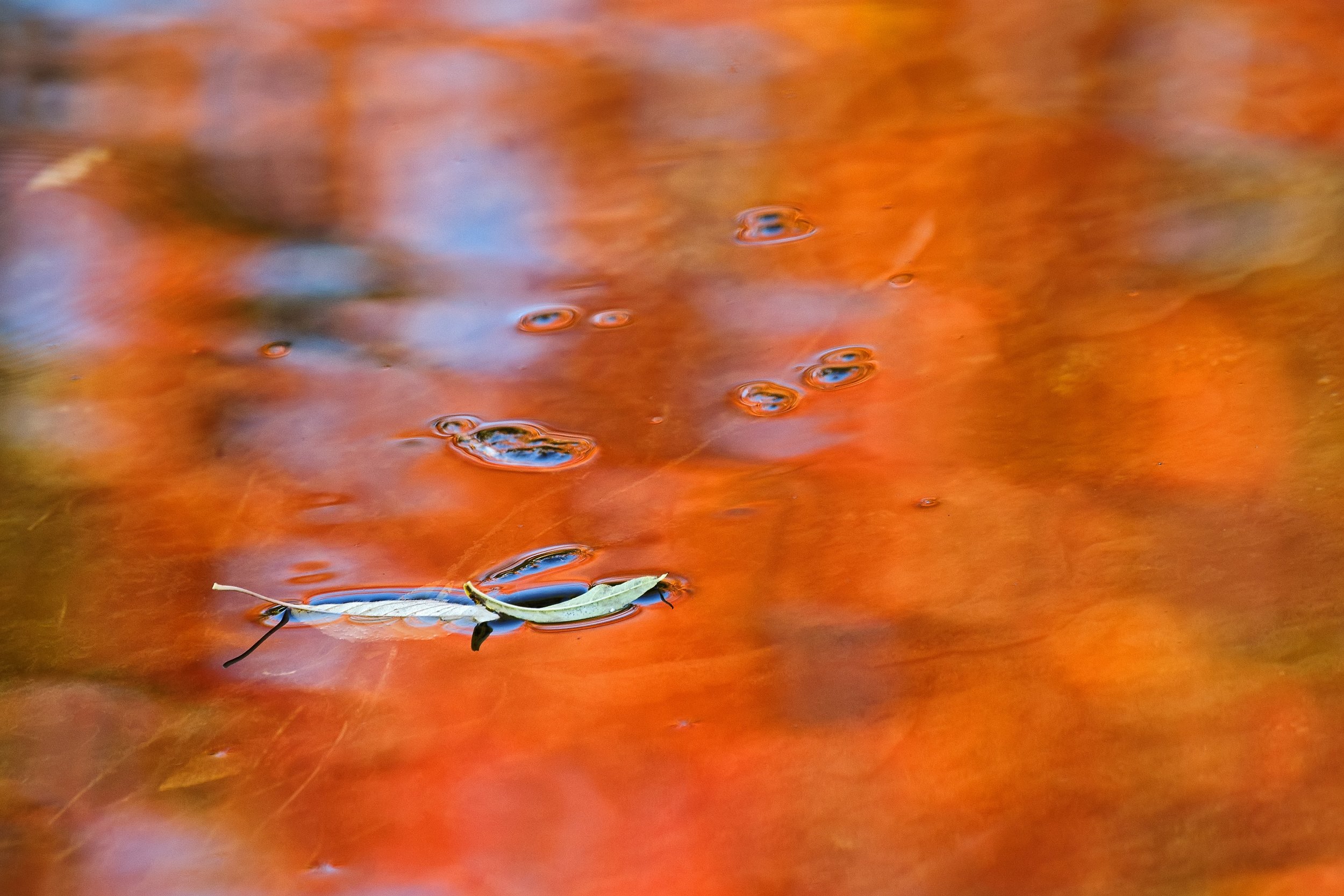 IMG_0444_bearb-Bearbeitet Kopie.jpg