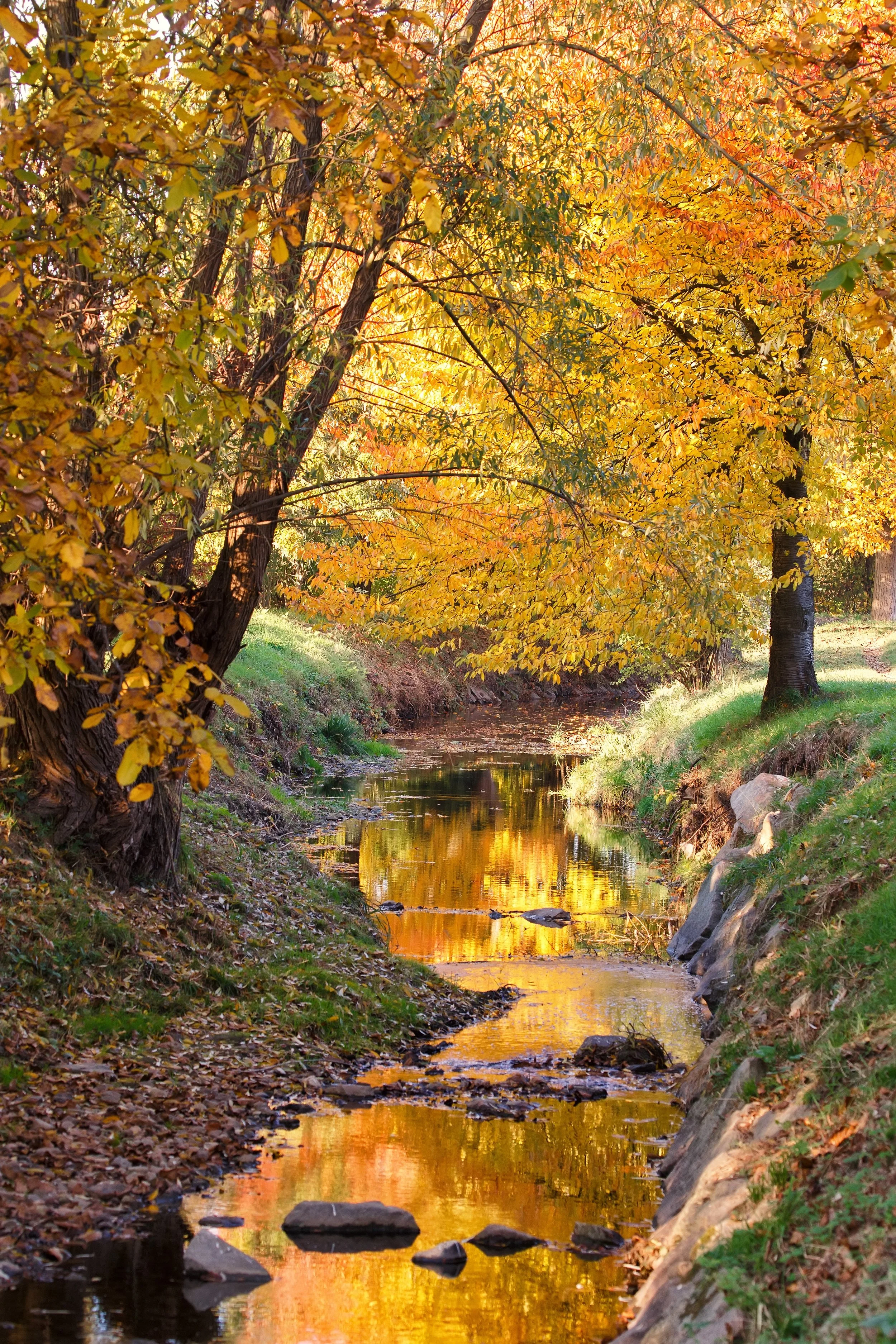 IMG_0381_bearb-Bearbeitet Kopie.jpg