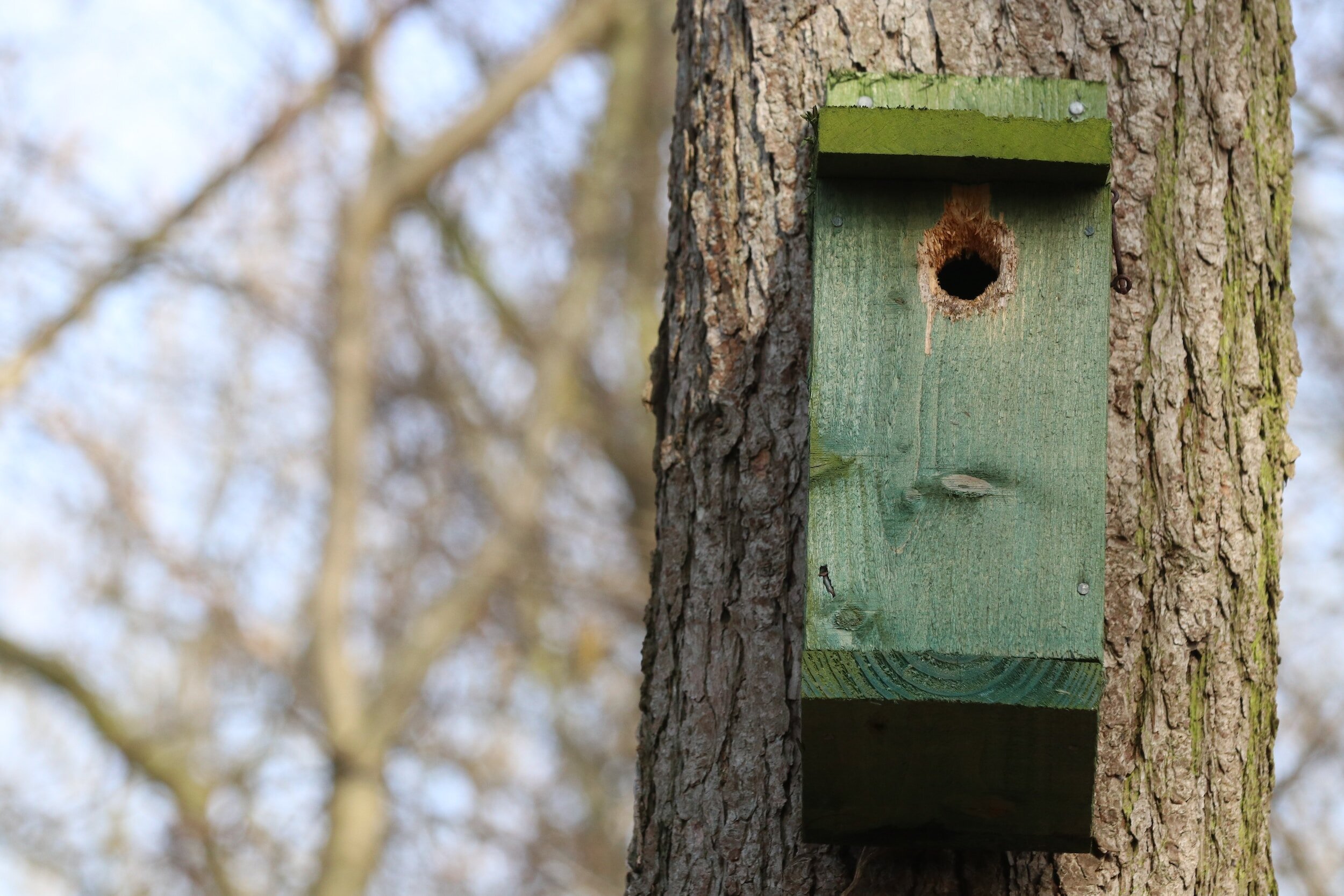 Bird boxes encourage wildlife at Oakfield Gardens Crematorium, Bedfordshire