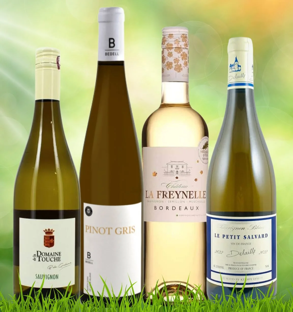 🍷 Wine Tasting is Back! 🍇
Join us tomorrow, Friday, September 5th, from 4&ndash;6 PM as we kick off our fall tasting season with a lineup of refreshing white wines&mdash;perfect for savoring the last sips of summer in Cooperstown!

We&rsquo;ll be p