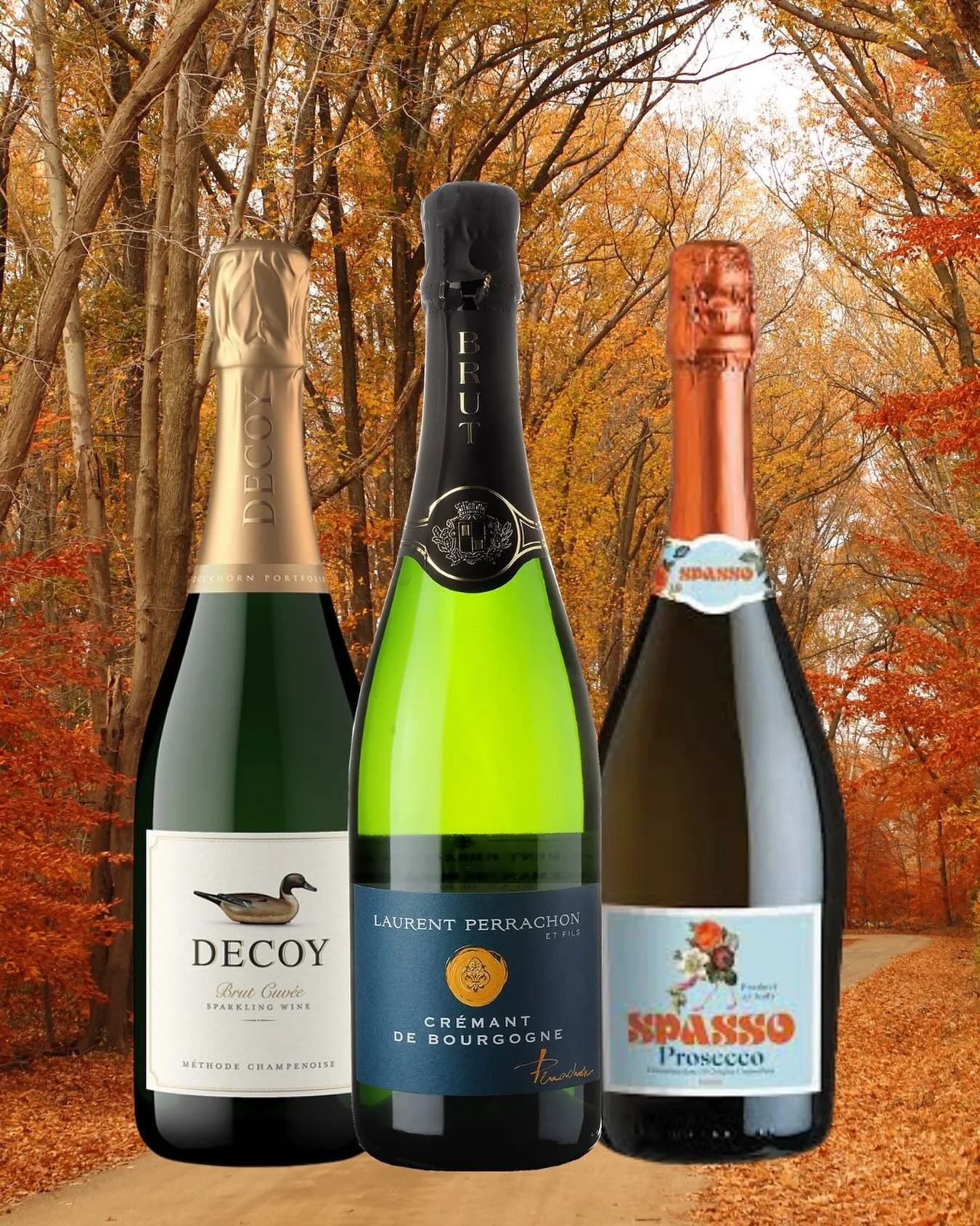 ✨ Just In! ✨

We&rsquo;re popping the cork on three sparkling standouts now available at Rudy&rsquo;s:

🍾 Decoy Brut (California) &ndash; Bright, crisp, and elegant, this California Brut brings festive bubbles and a refined finish.

🥂 Perrachon Cr&