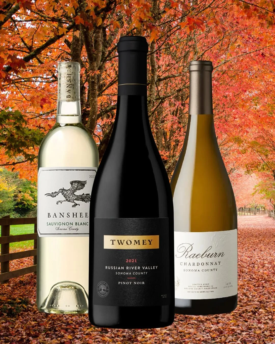 🍷 Sonoma Wine Tasting &ndash; Friday, September 26th | 4&ndash;6PM
Join us at Rudy&rsquo;s for a special Sonoma tasting featuring:
	&bull;	Banshee Sauvignon Blanc
	&bull;	Twomey Sonoma Pinot Noir
	&bull;	Raeburn Chardonnay

✨ Enjoy 20% off these win