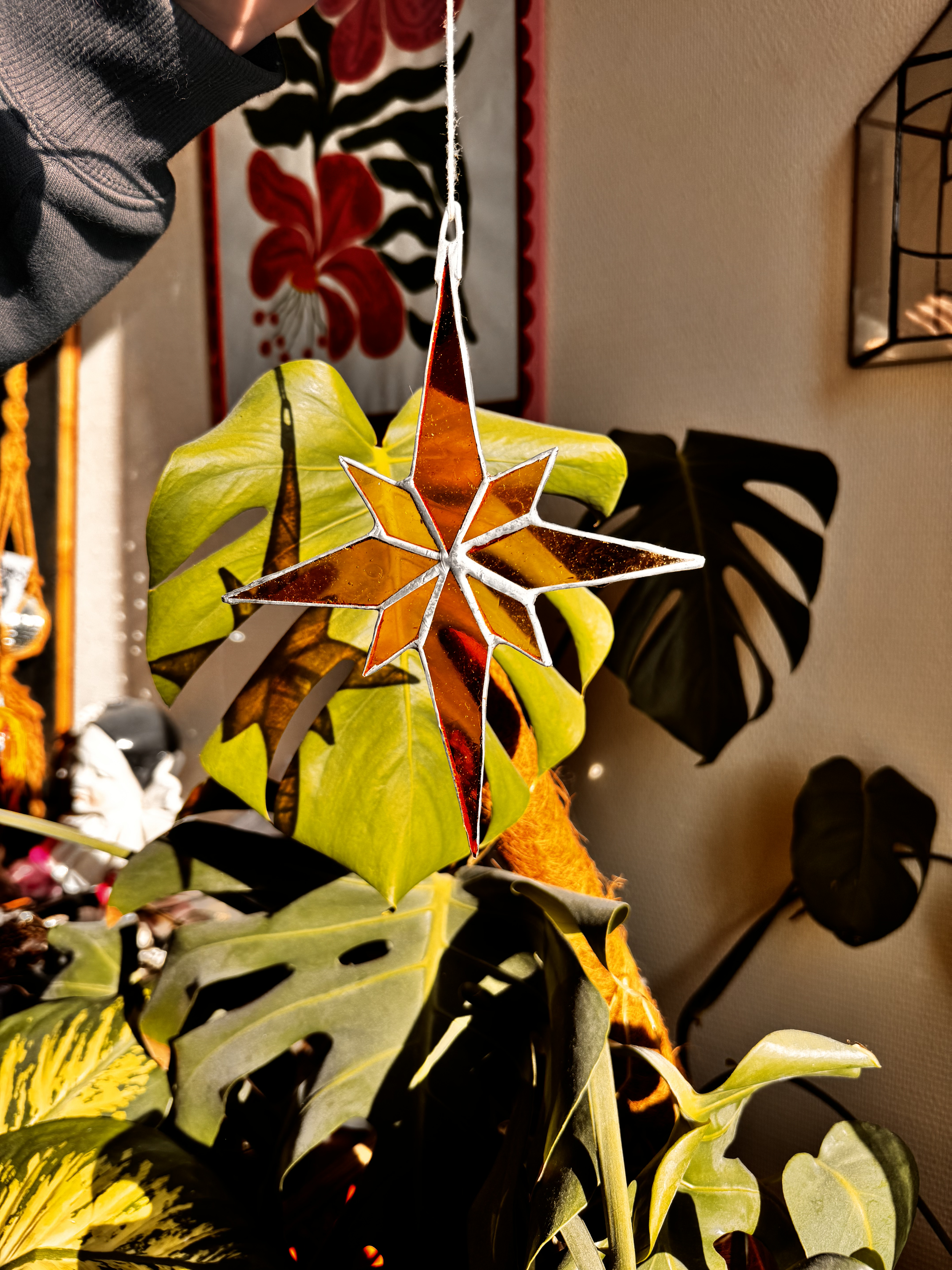 ✨​​ étoile ✨​