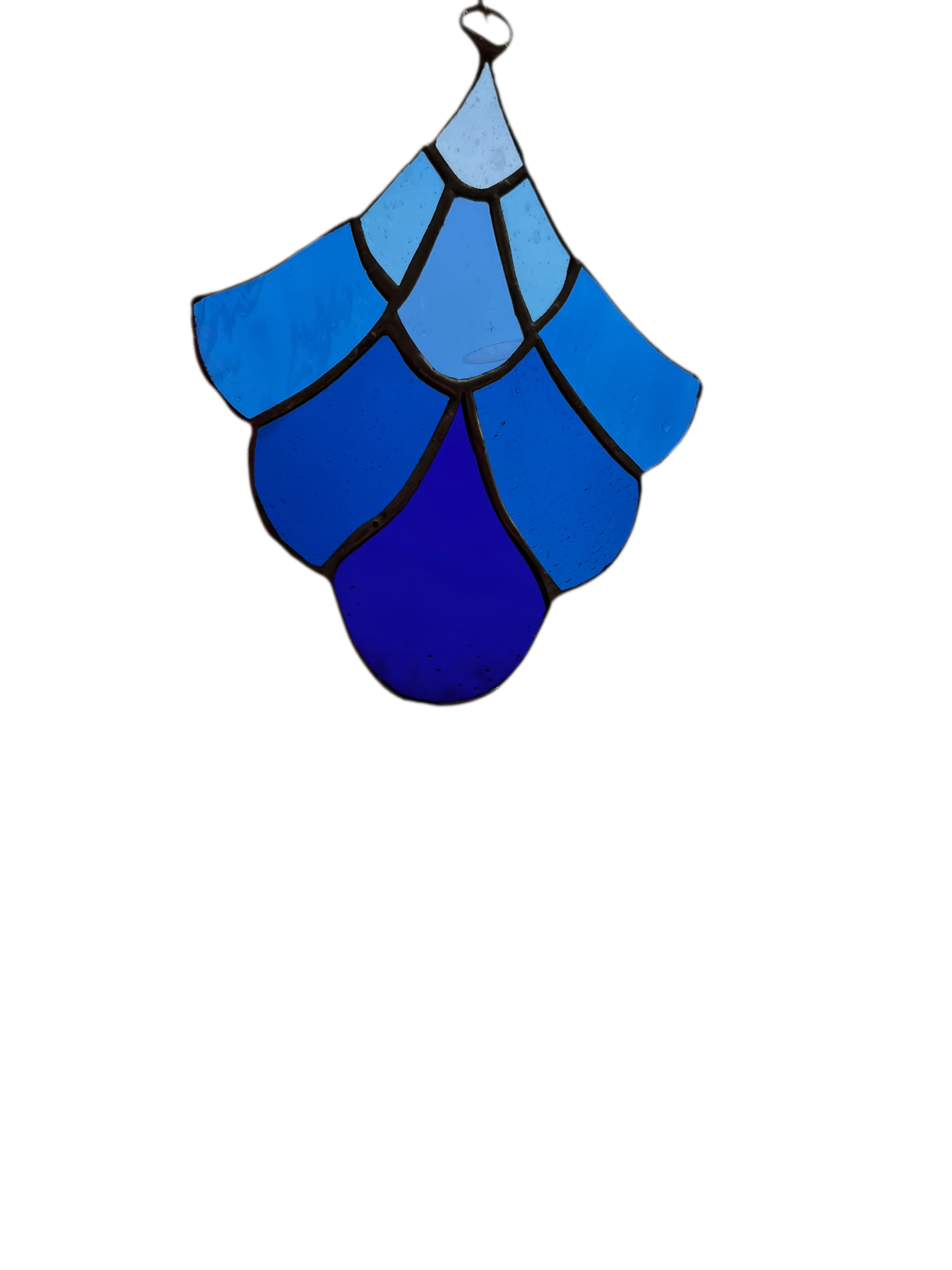 IMG_1689 (1).png