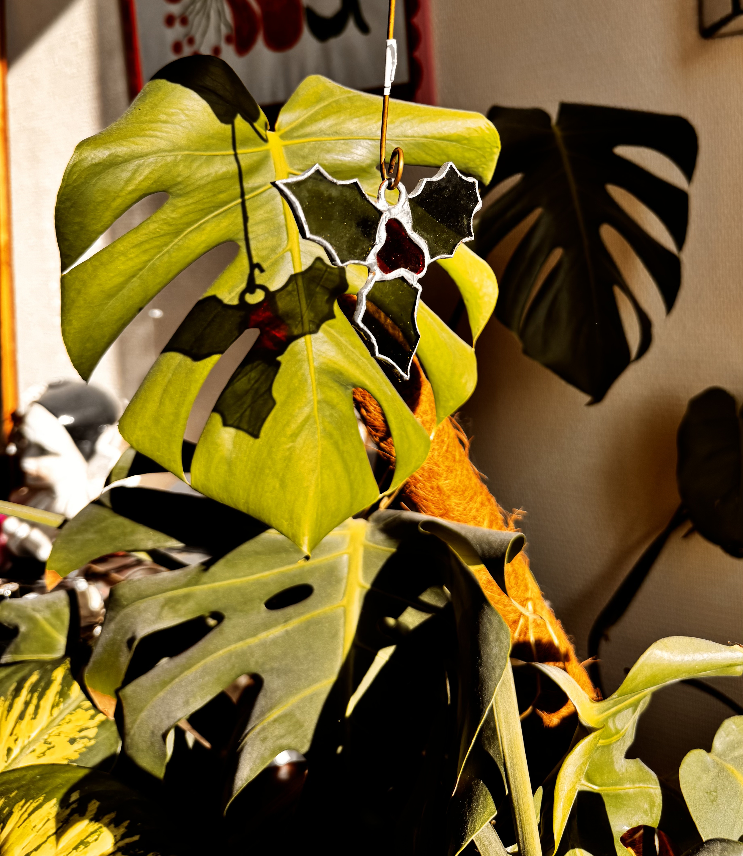 IMG_2662.png