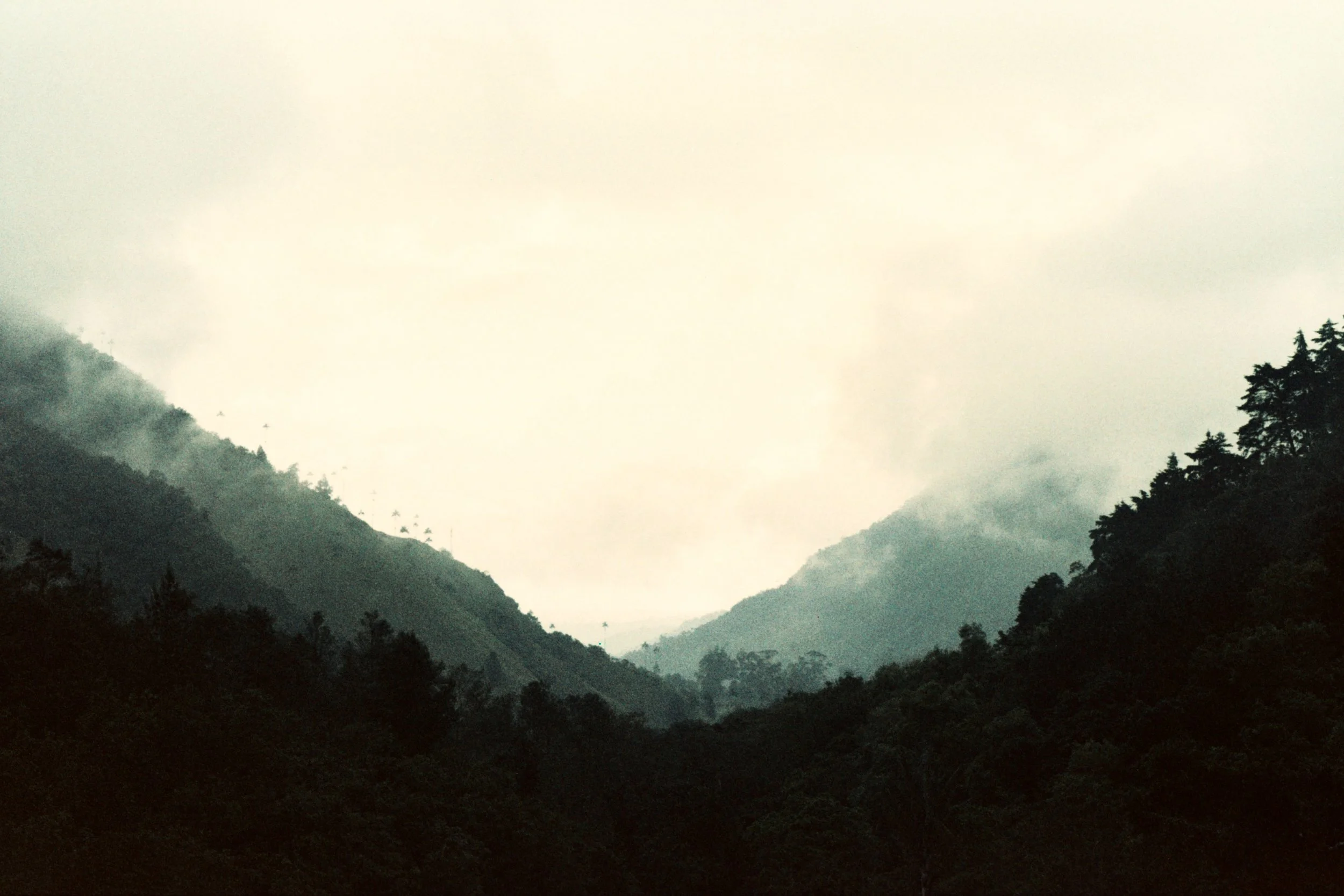 ⛰️ Montañas Minca ⛰️