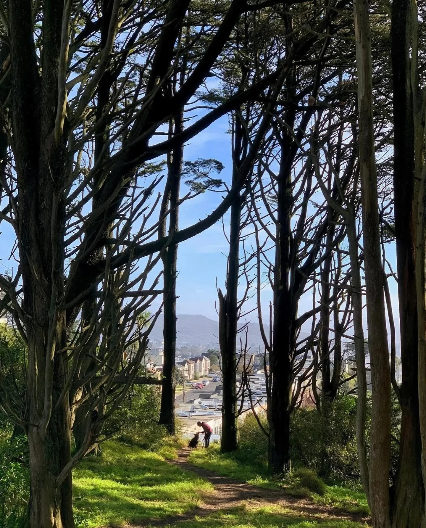This October, join us at the BEAUTIFUL Golden Gate Heights Park for great views and great company at our Saturday Civic Joy Corps volunteer days! ✨🪩🍃 

Fun fact: Golden Gate Heights is a part of the Green Hairstreak Corridor, a small area where you