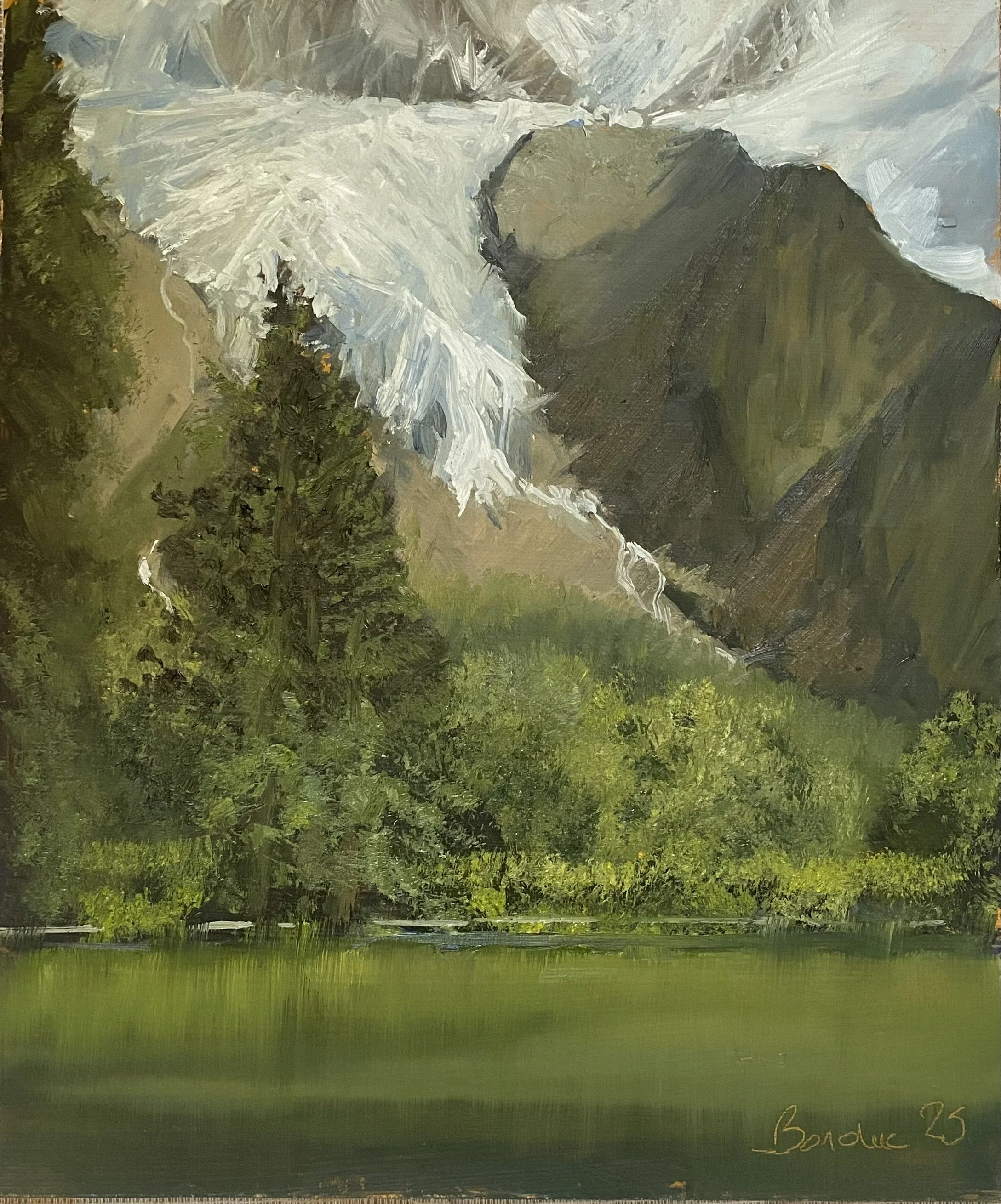 Lac des Gaillands Juin Juillet 2025 25 x 30 cm