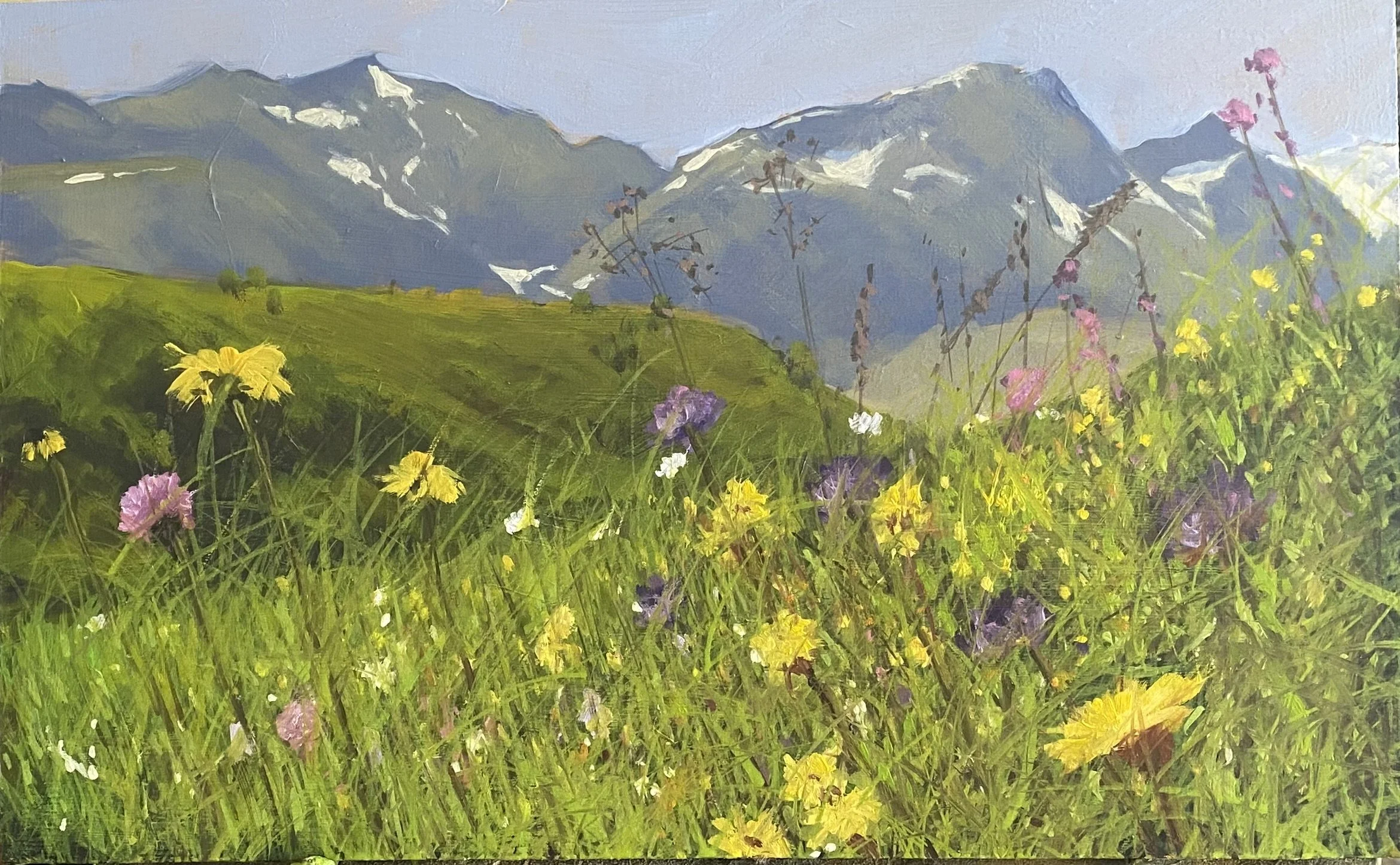 Fleurs d'été en montagne.  25 x 40cm