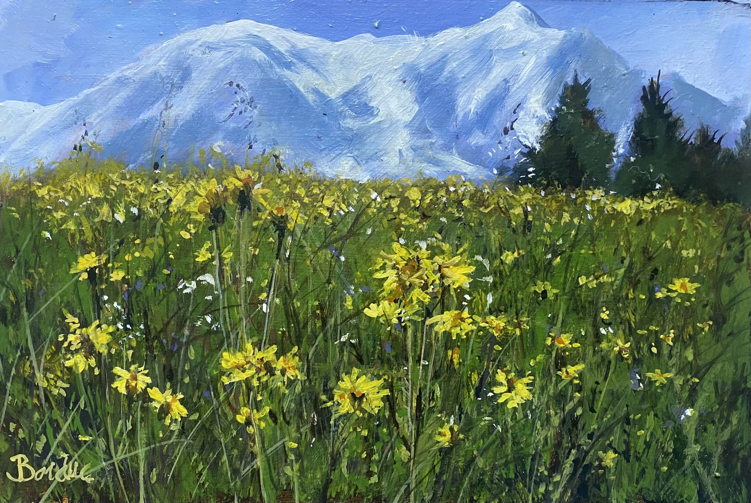Prairie jaune 30 x 20 cm