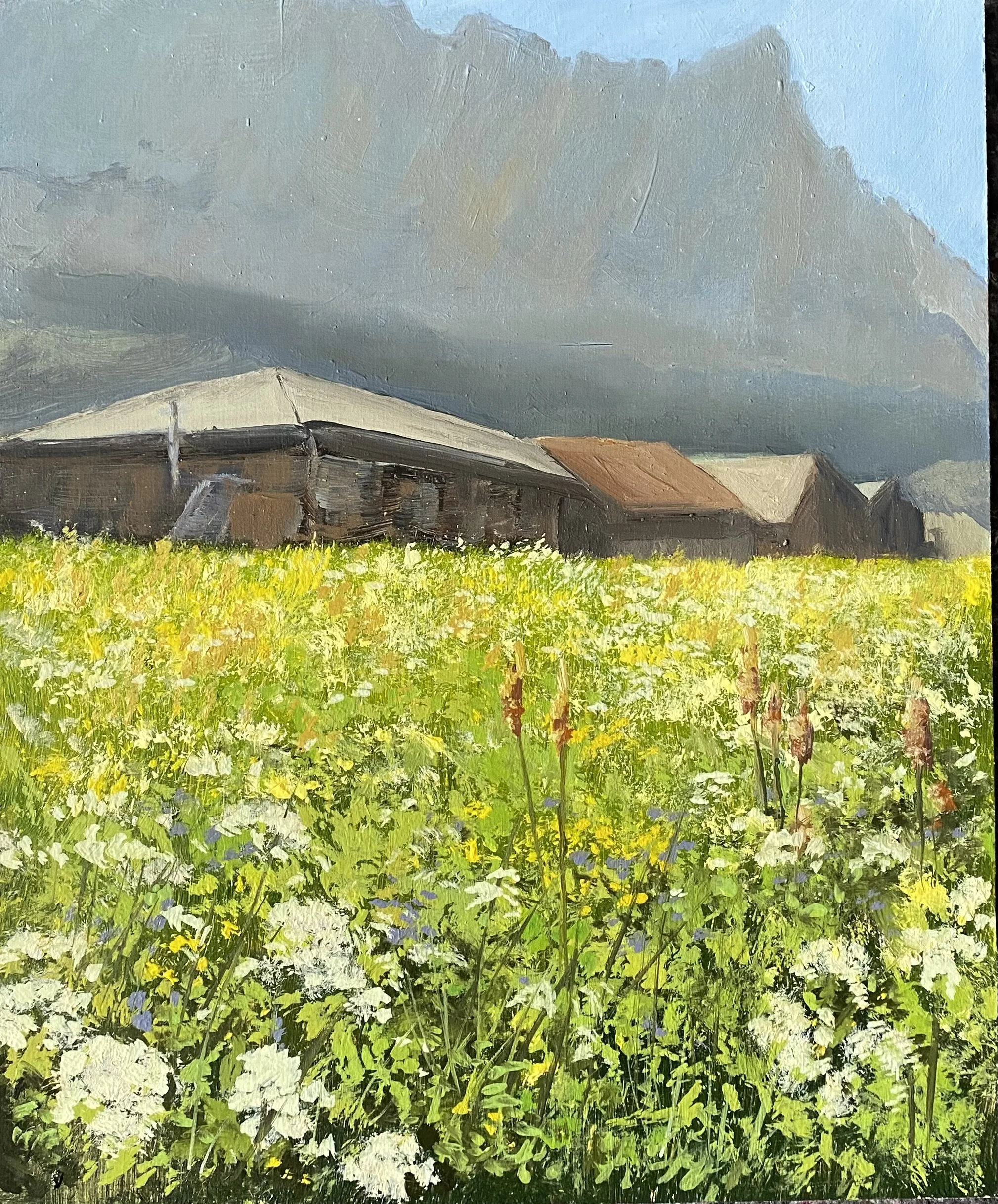 fleurs d'ete dans les pâturages.  30 x 25cm