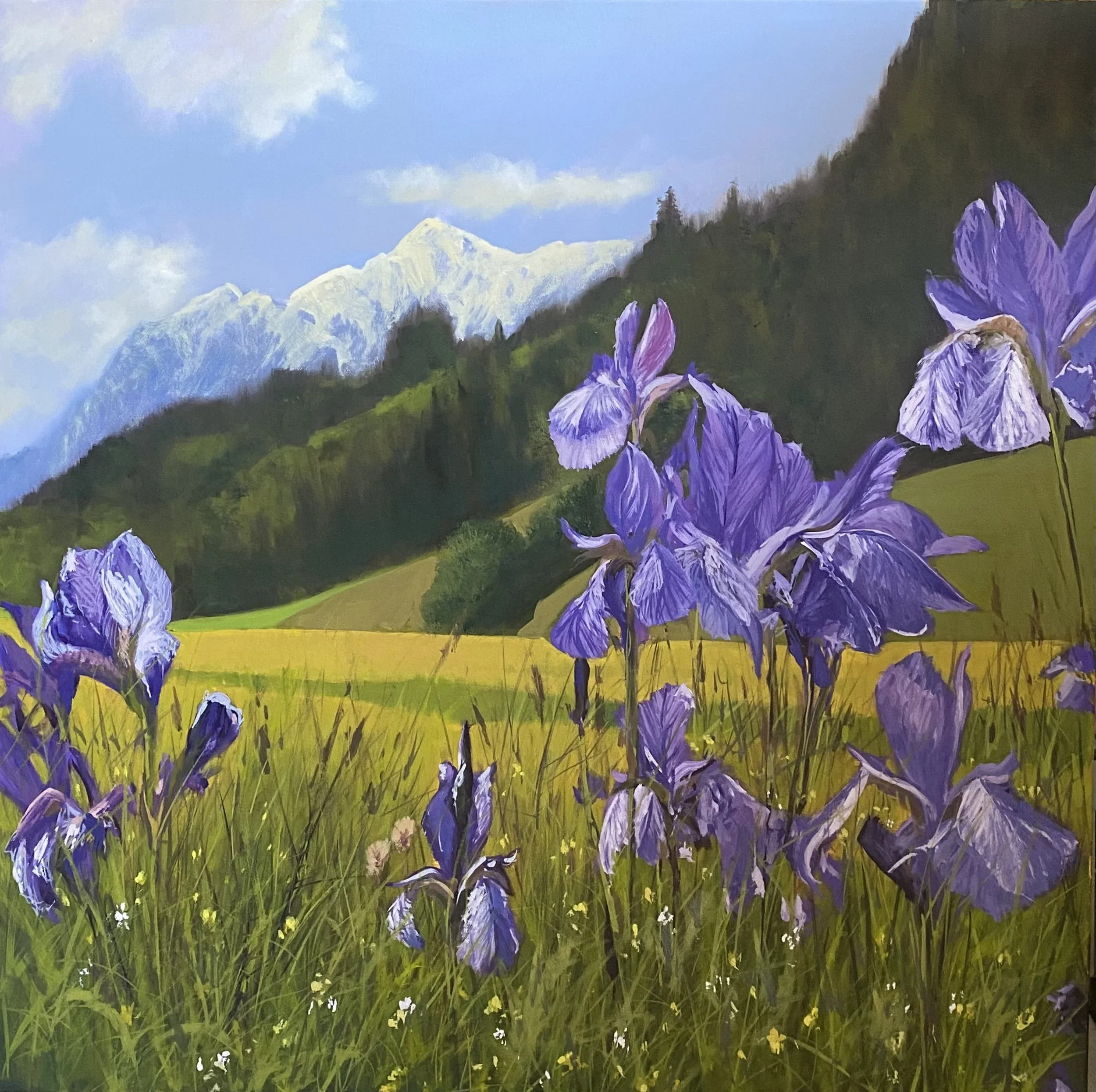 Lys pourpre. 80 x 80 cm