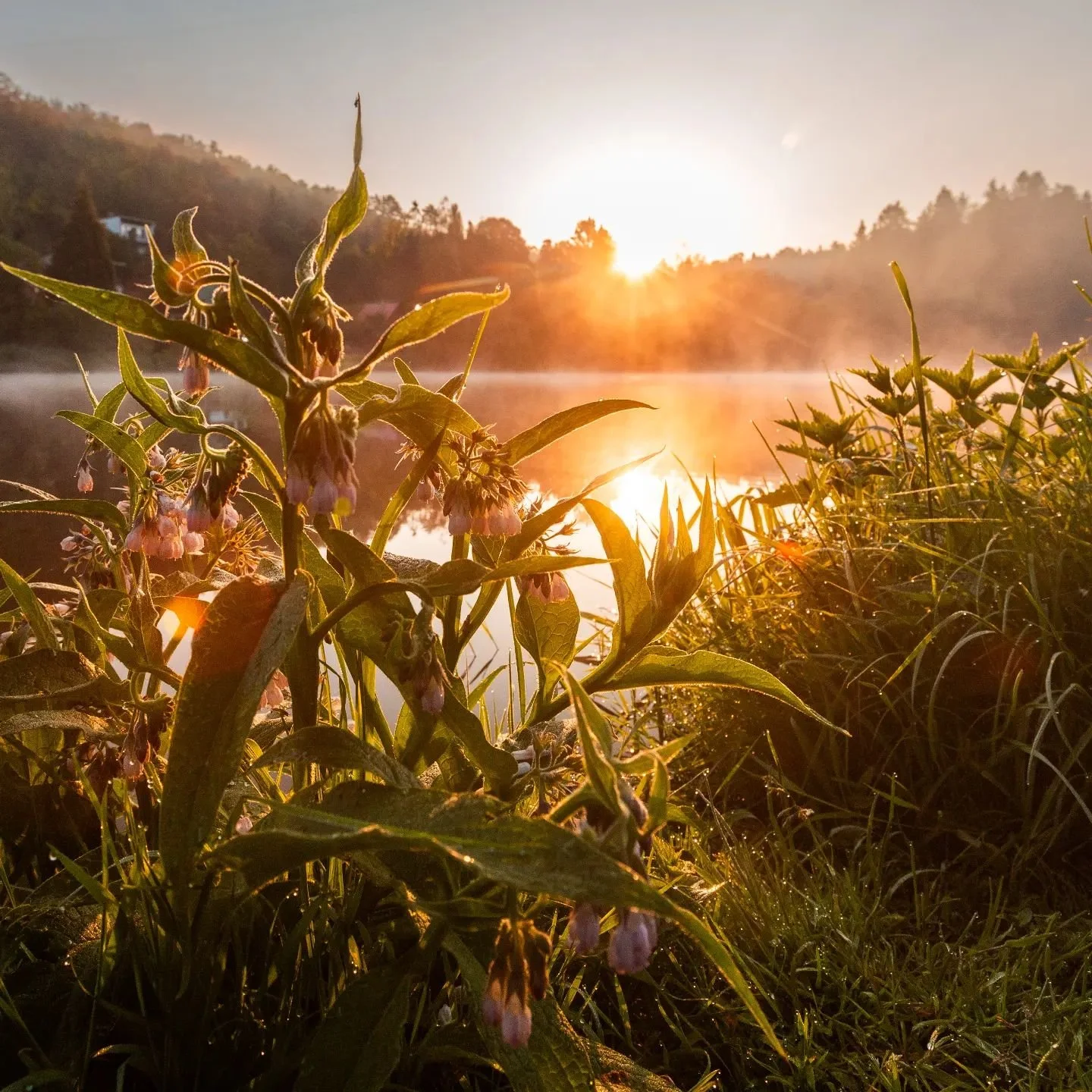 Trochu jsem se zaměřil na průzkum toho odkud vychazi slunce a kam sviti takhle koncem jara u řeky. Určitě to vytv&aacute;ř&iacute; krasne okamziky, ale mam pocit ze lep&scaron;&iacute; je b&yacute;t někde v&yacute;&scaron; nad kopci. Slunce vychazi b