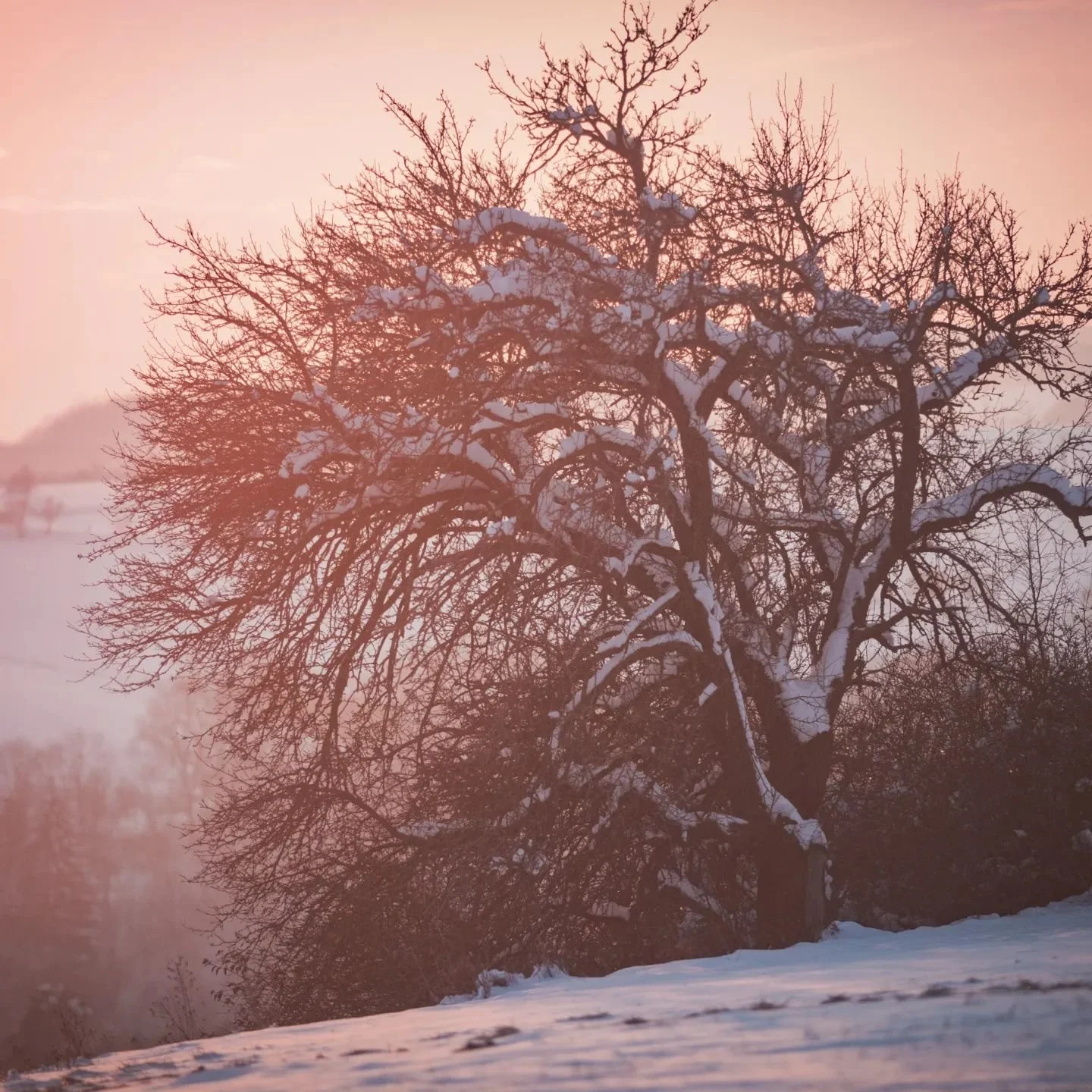 Zimn&iacute; momenkty #chasingthesun