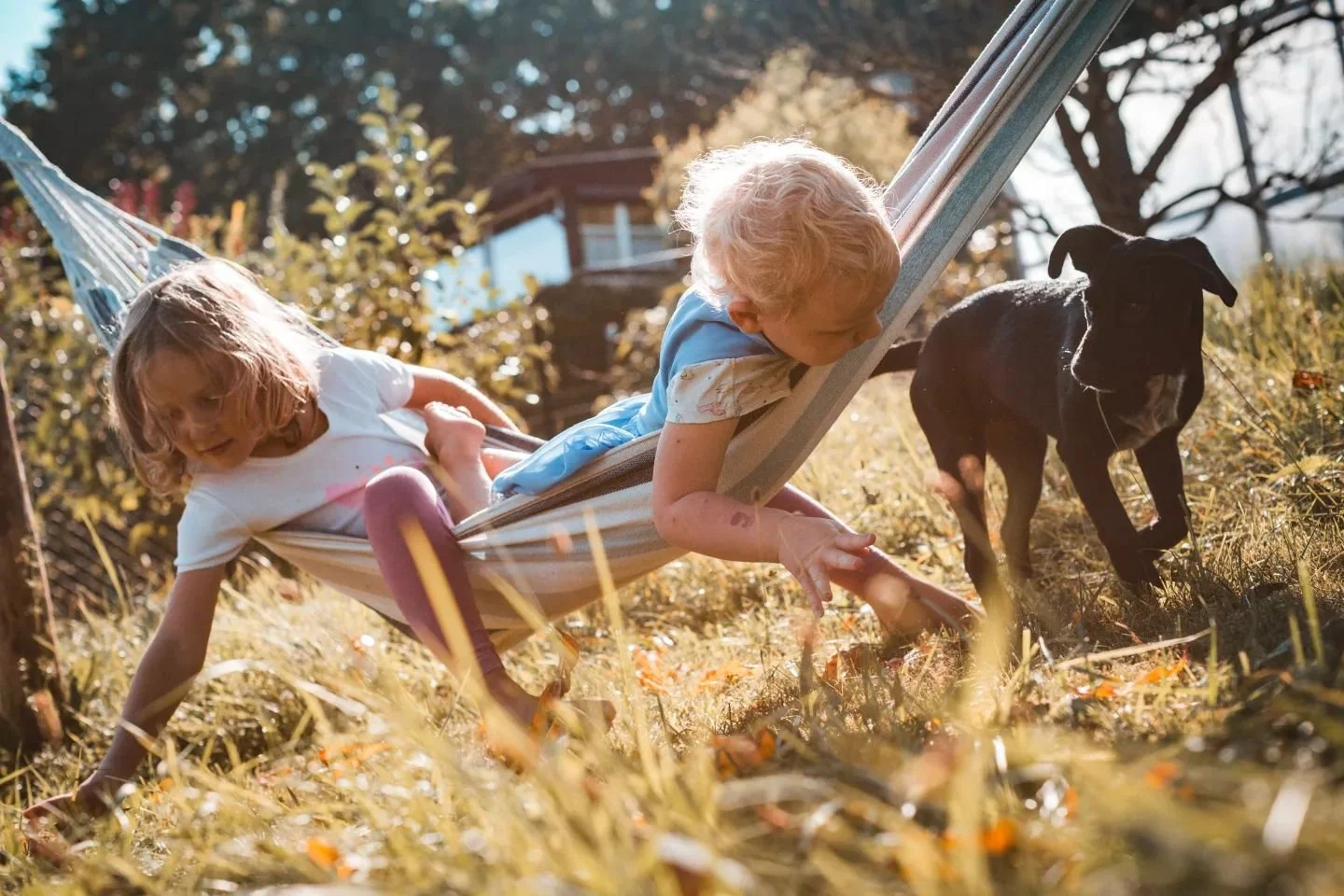 Letos jsem konečně pověsil tuhle hamaku, musel jsem teda zatlouct kůl do země, abych j&iacute; měl kam pověsit. J&aacute; i holky jsme se ji naučili docela využ&iacute;vat. Jin&yacute;mi slovy jsem taky mohl na zahradě dělat něco jin&eacute;ho než se