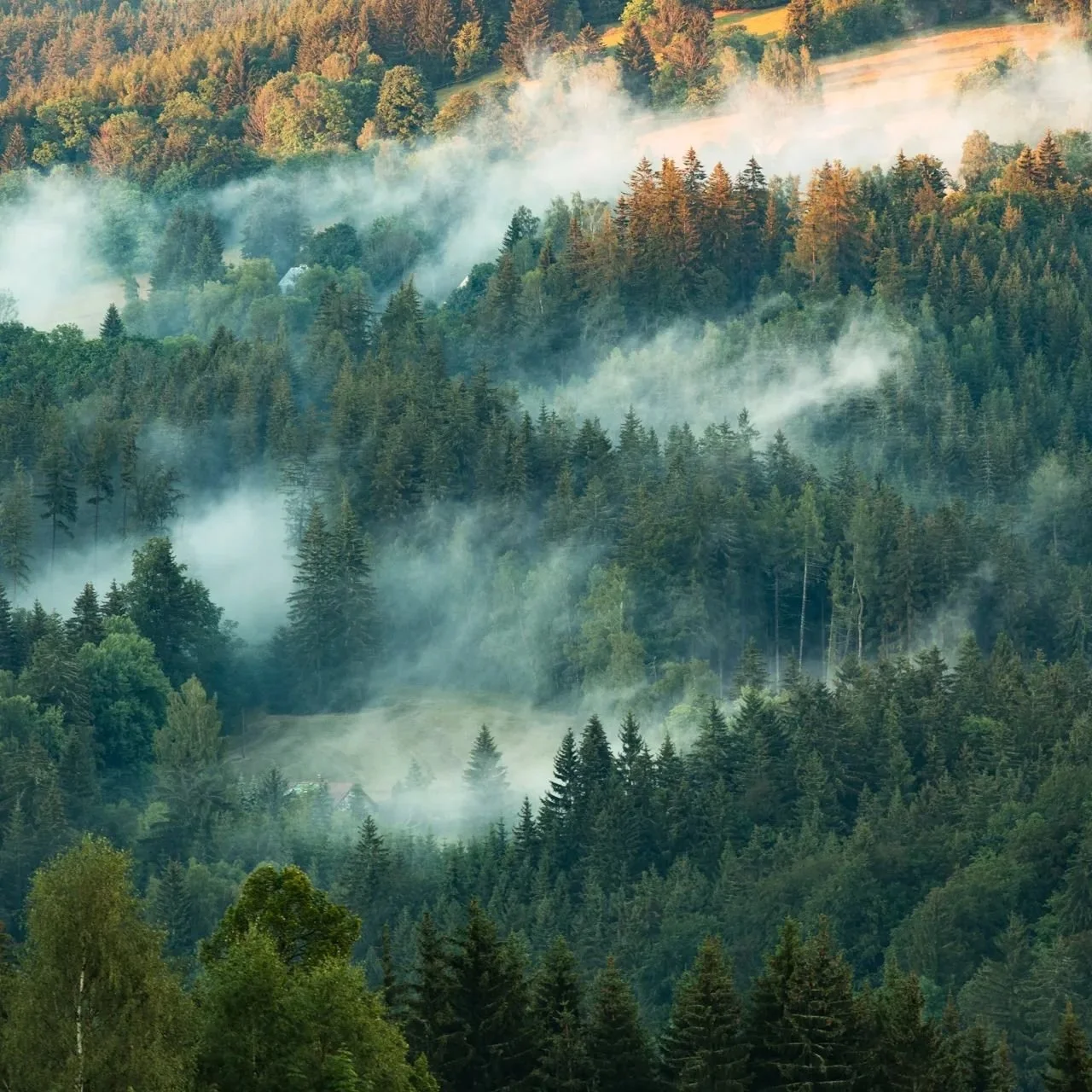 Momentky z V&iacute;tkovic