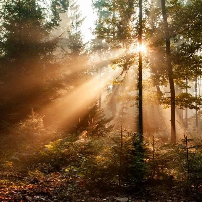 Proj&iacute;žd&iacute;m si archiv a na&scaron;el jsem tam tenhle poklad z roku 2014, bylo to v z&aacute;sadě moje prvn&iacute; setk&aacute;n&iacute; s takov&yacute;m světlem a m&iacute;t možnost ho vyfotit. Bylo to pro mě transformačn&iacute; z hledi