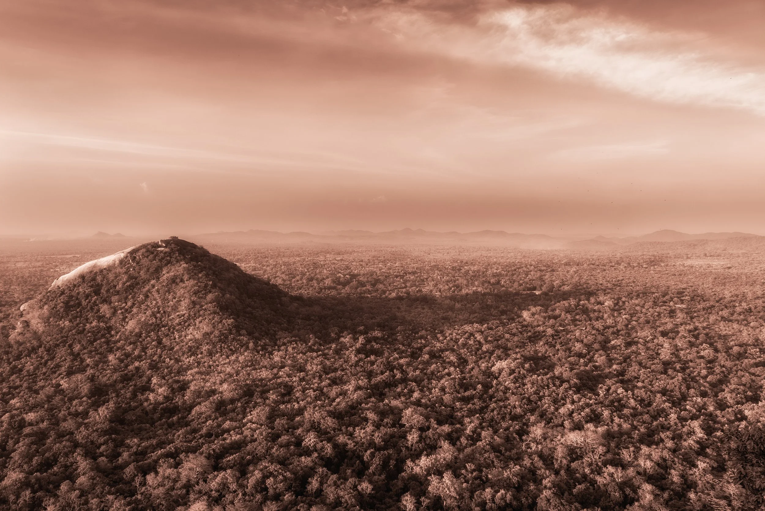 DSC_8004-Enhanced-NR copy.jpg