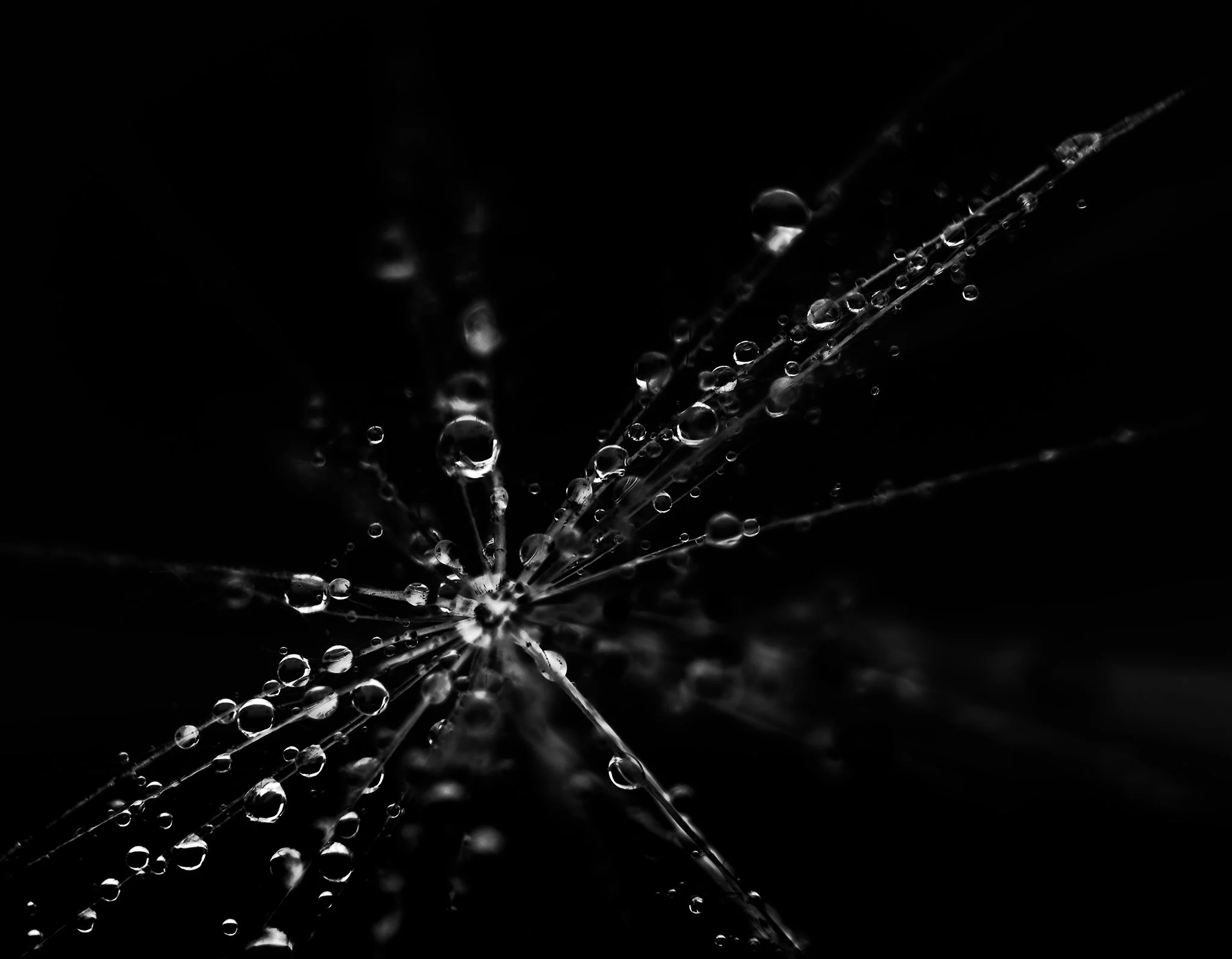 Dark B&W Droplets_4060187.jpg
