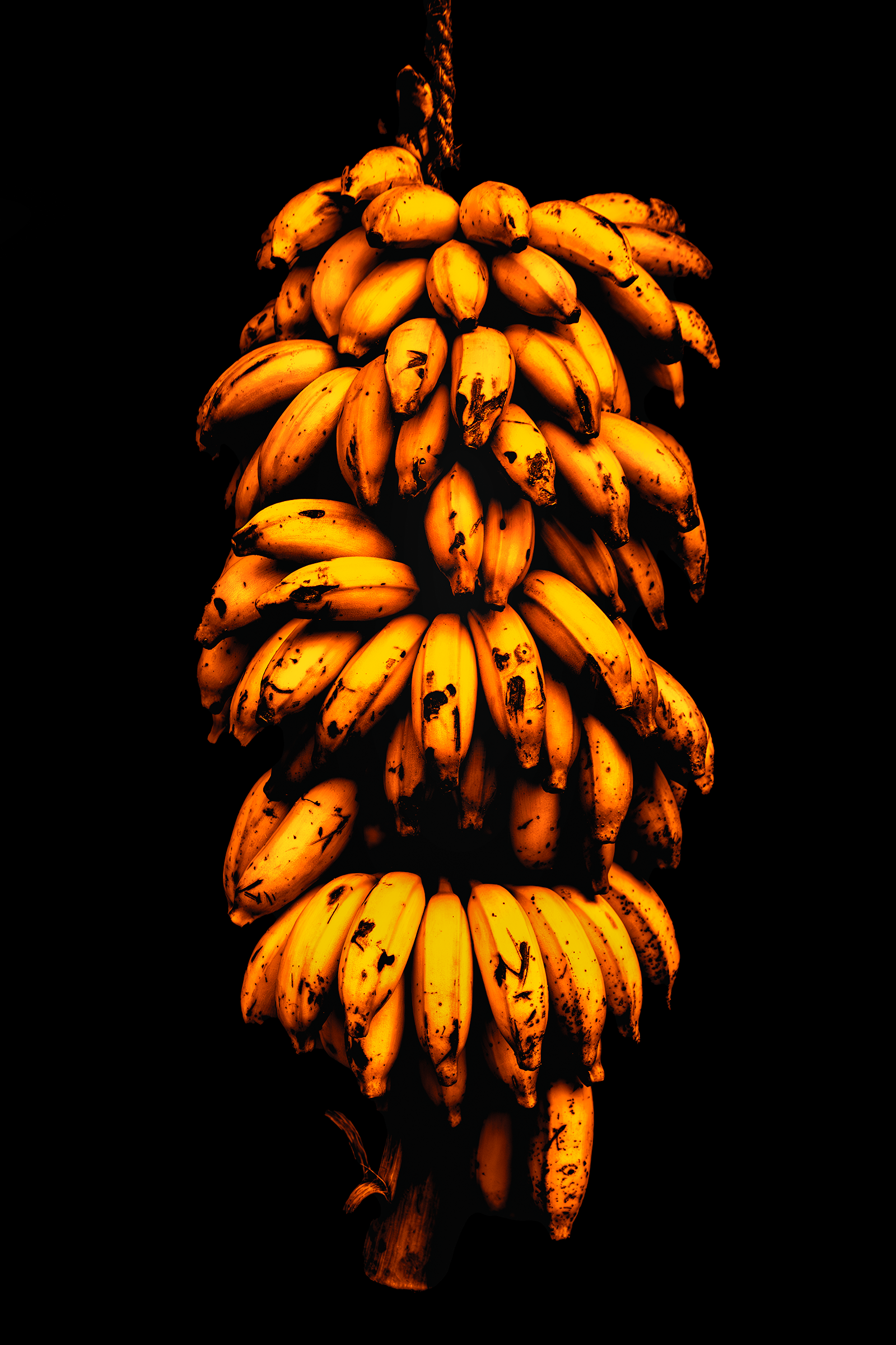 Going Bananas.png