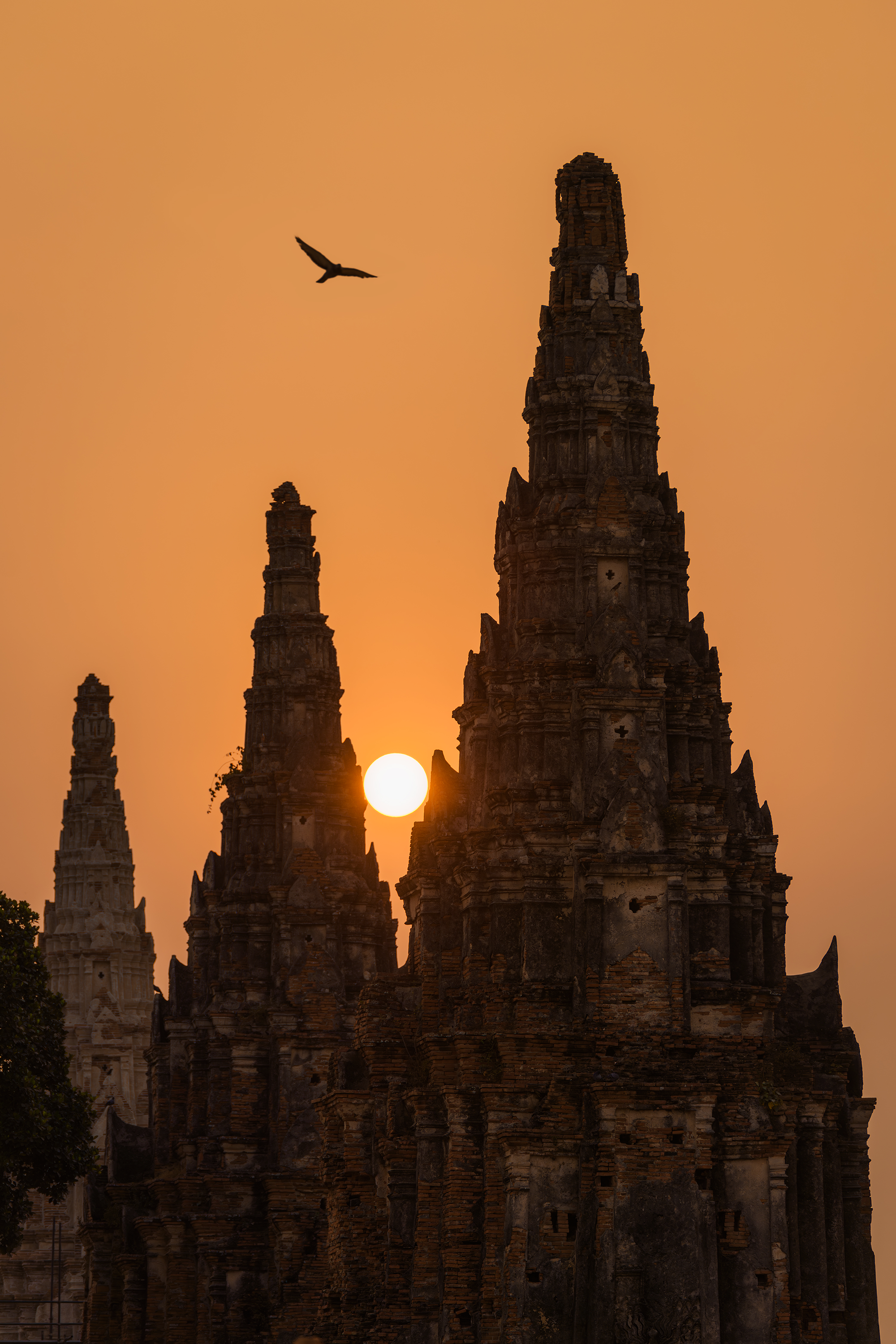 Ayutthaya Temple Sunset Bird Edit 2 - 30x20.png