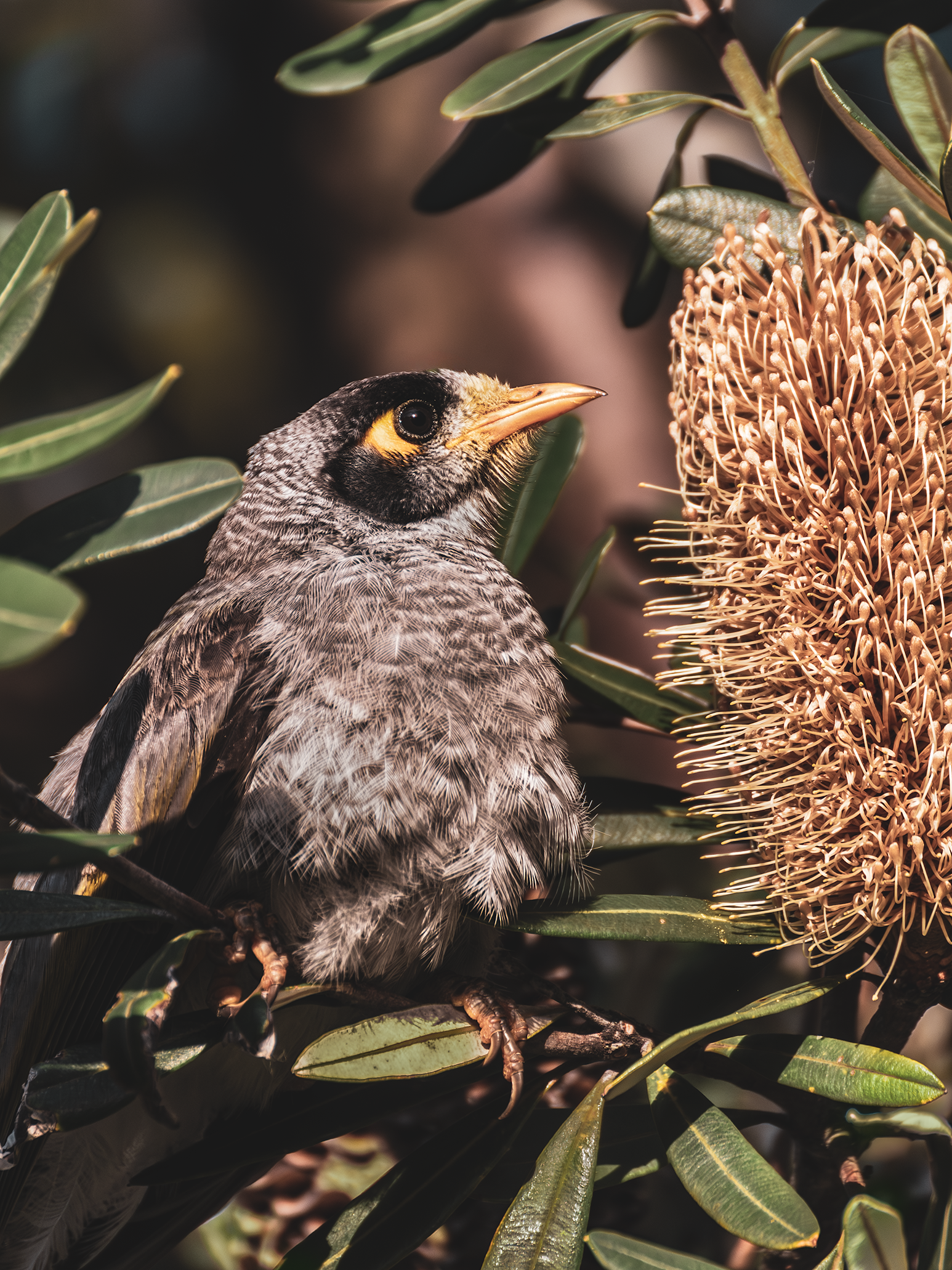 Tucket Time_GGC2788-Enhanced-NR.png