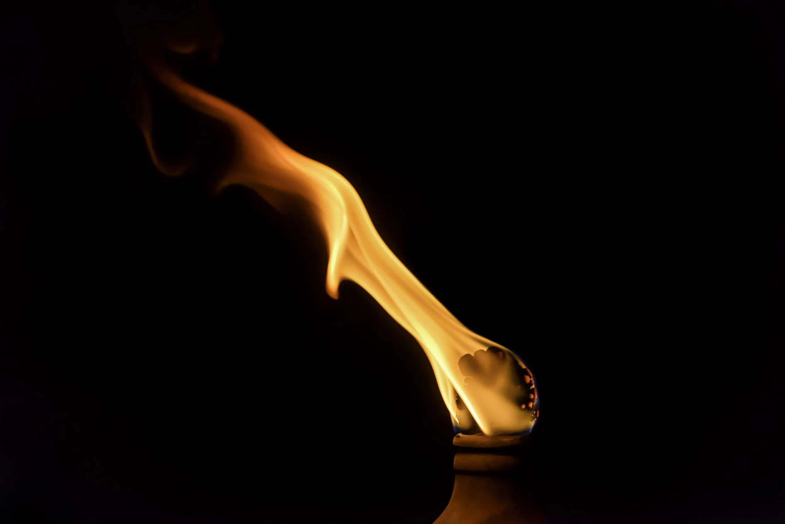 Keeping it Alive copy 2.jpg