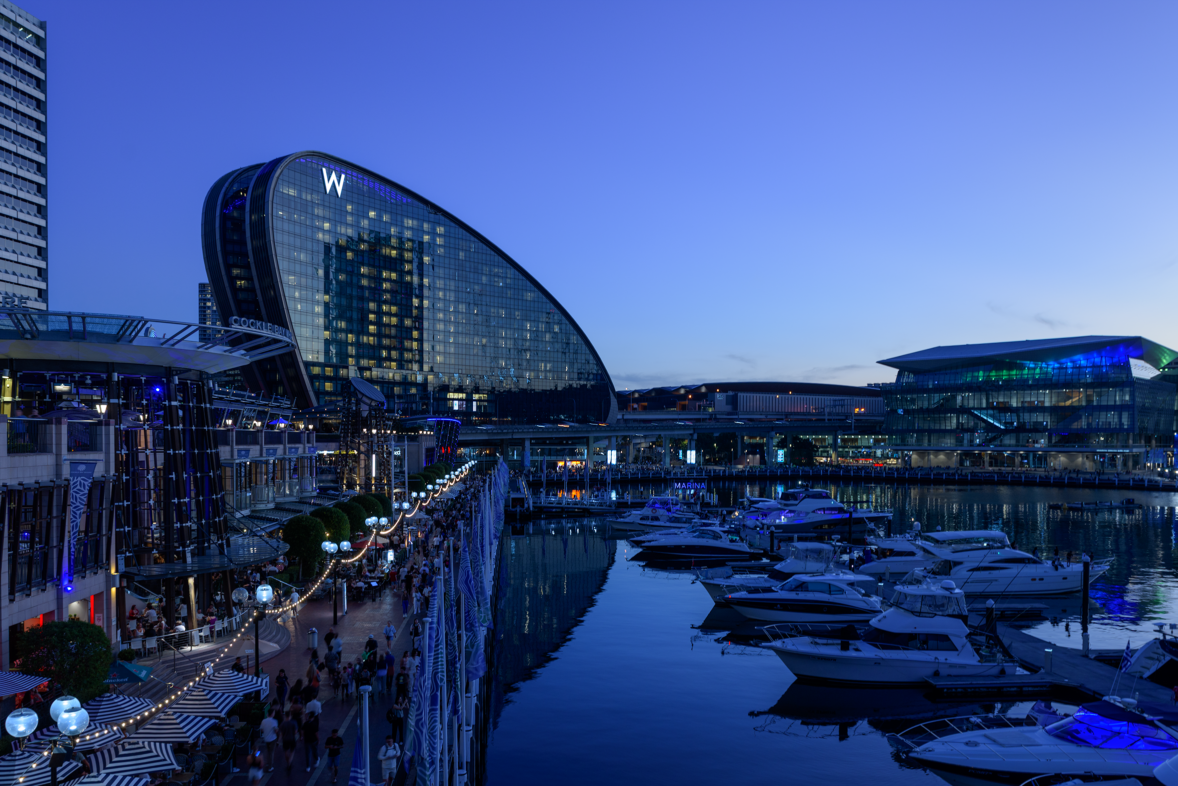 BLUE MARINA_GGC4233.png