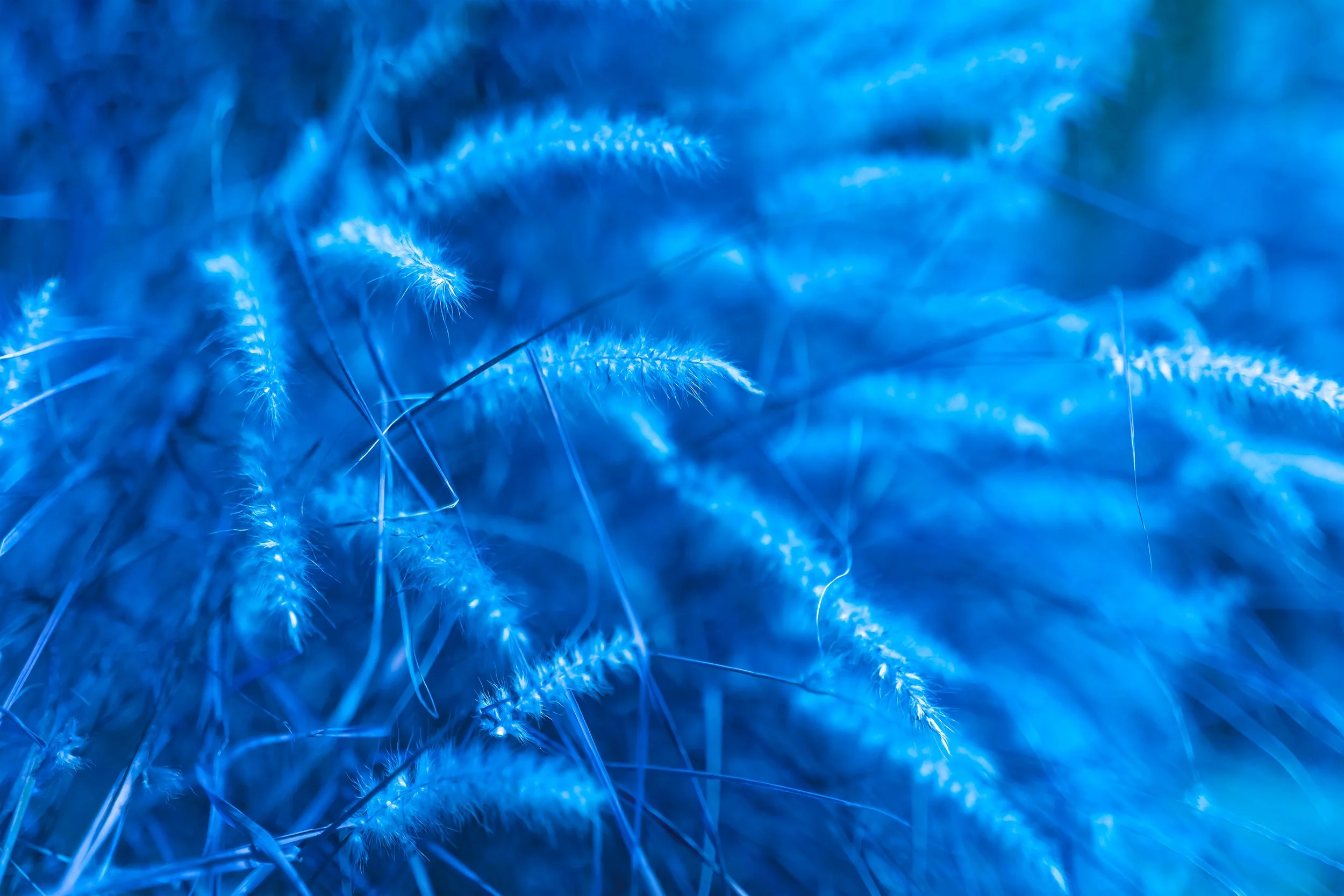 BLUE ETHERAL STRAW LEAVES - 20X30 copy 3.jpg