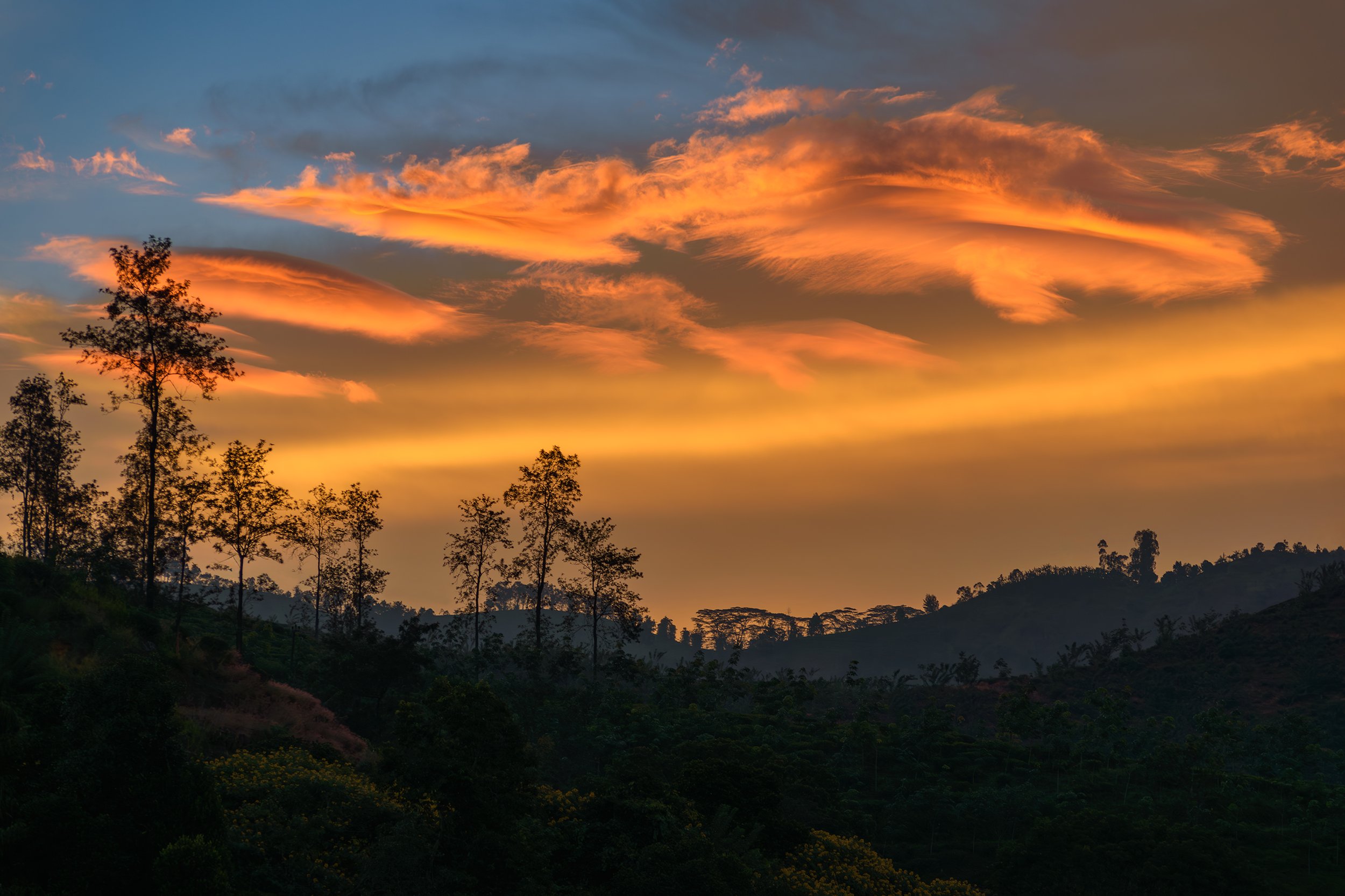 Sky Flames - Sri Lanka Final Edit - SF (NO BIRDS) copy.jpg