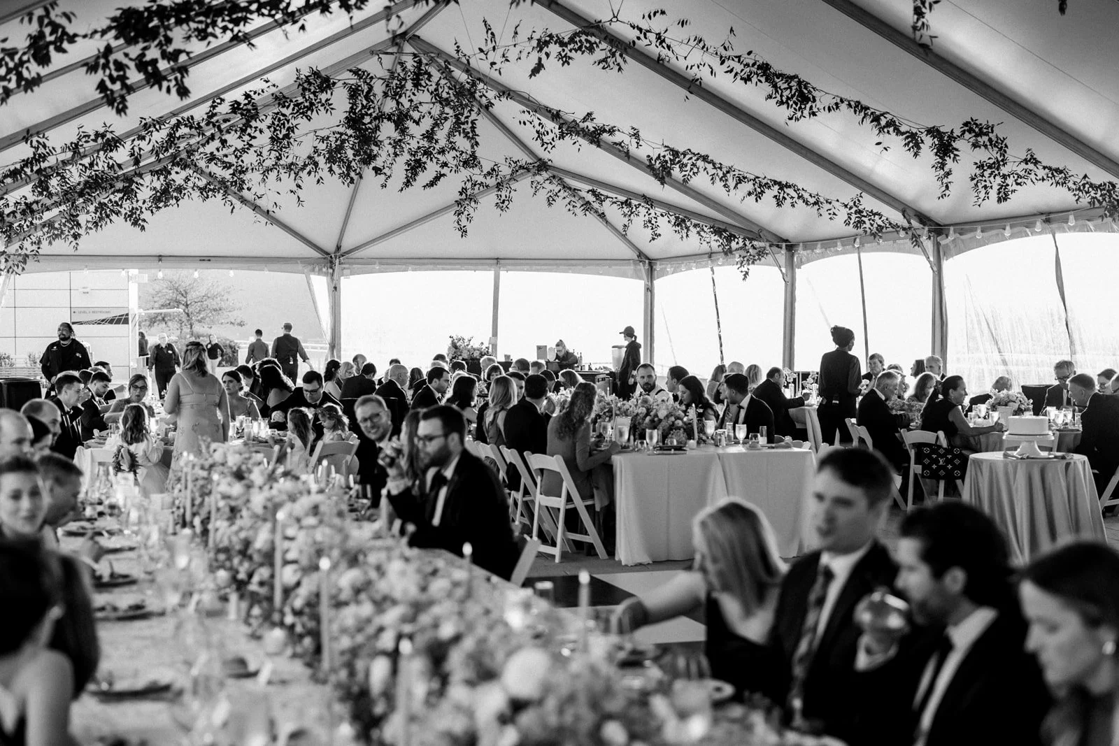romantic-pittsburgh-wedding-reception-vines.jpg