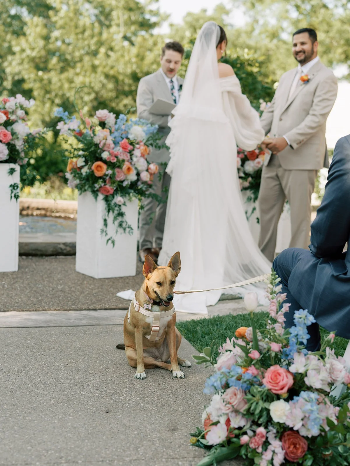 wedding-dog-flowers-pittsburgh.jpg