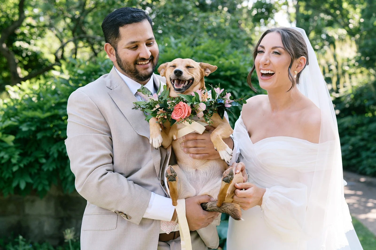 wedding-dog-collar-phipps-conservatory.jpg