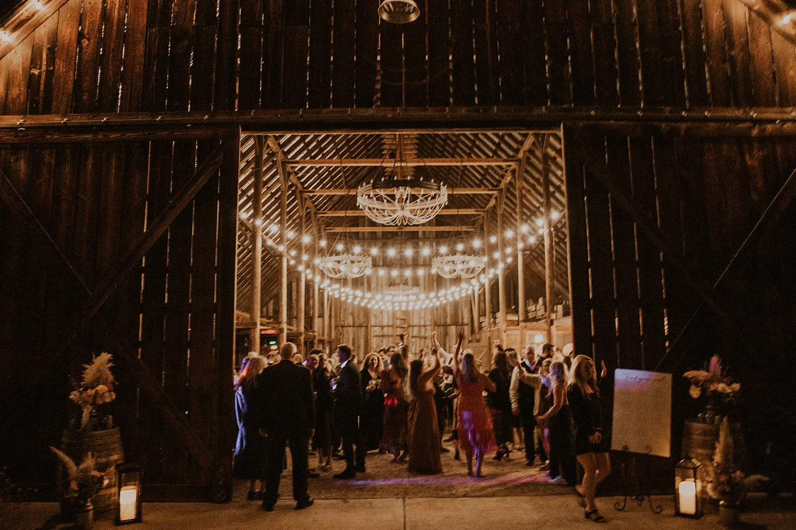 magpies+nest+event+rentals+string+lights+wedding+installation+3.jpeg