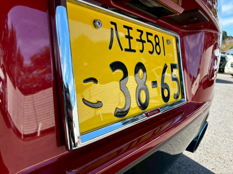 License plate garnish