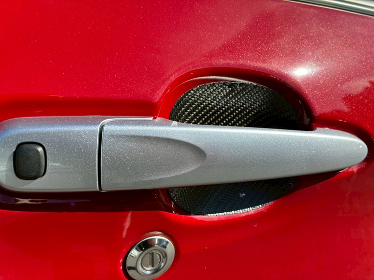 Door handle protector