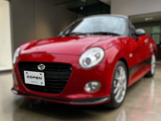 TR imports UK - Original Copen Display Plate (3).png
