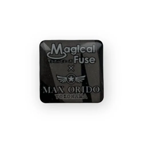 Magical Fuse Logo SQ.JPG