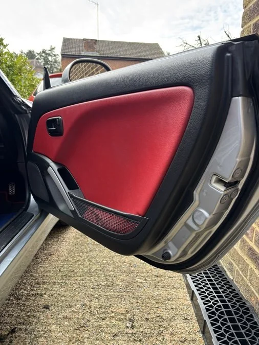 Door Interior Driver.JPEG