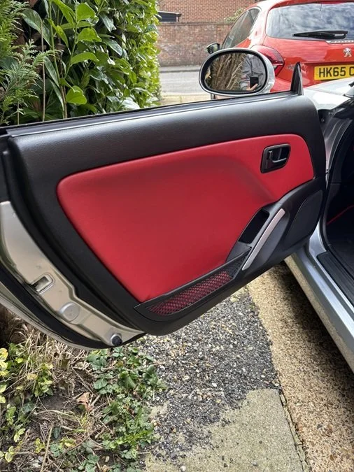 Door Interior  Passenger.JPEG