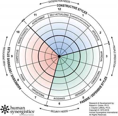 Human Synergistics, Circumplex