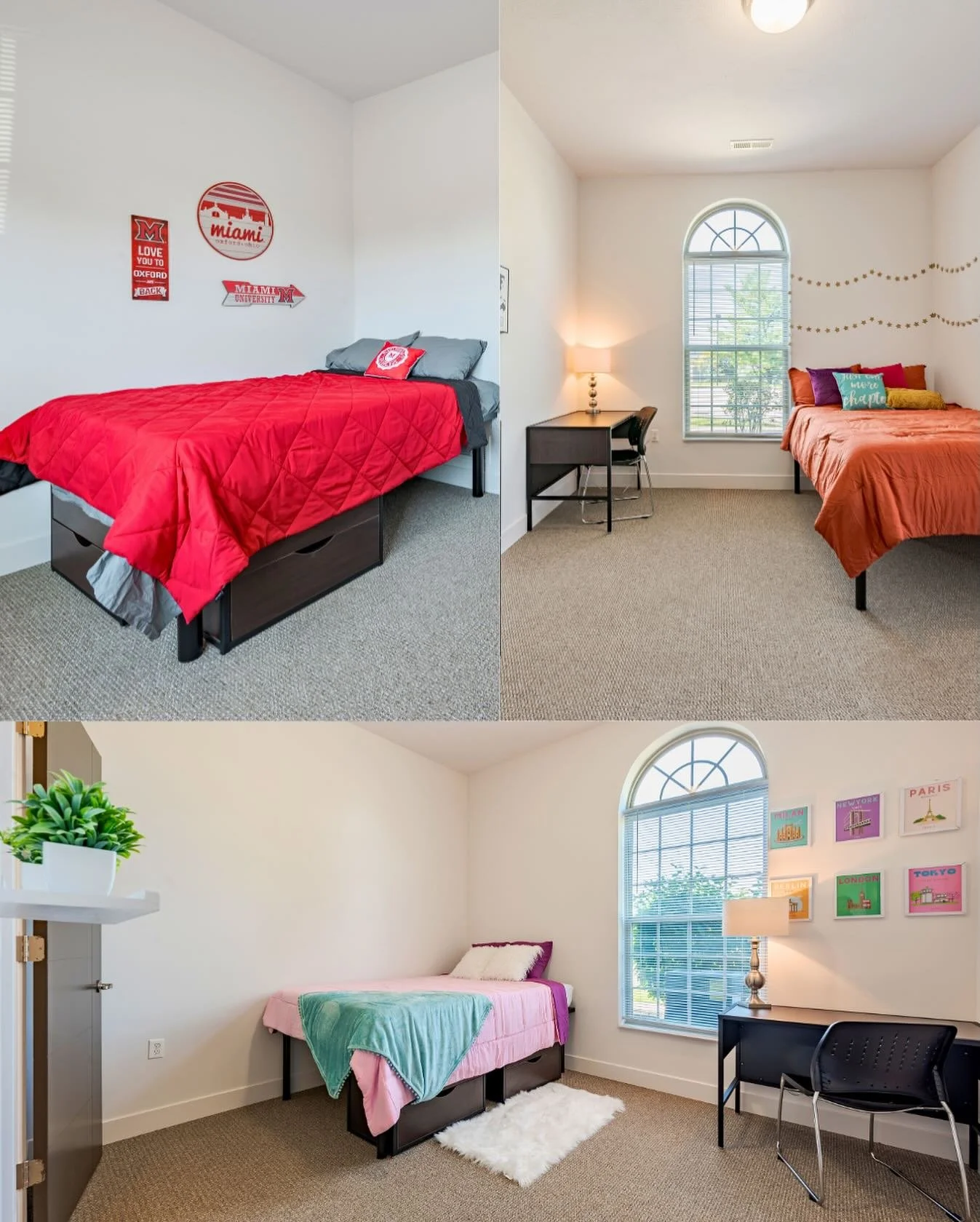 WIN IT WEDNESDAY x Room Decor Contest‼️🤩

DM us a photo of your room decor before 5:00 today to be entered to win! Photos will be posted to our story to be voted on by our following. The winner receives a $200 Walmart gift card! 

#studenthousing #s