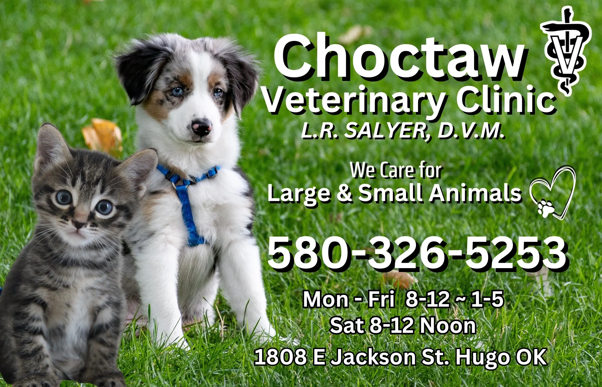 Gallery 3 — Texoma Tops