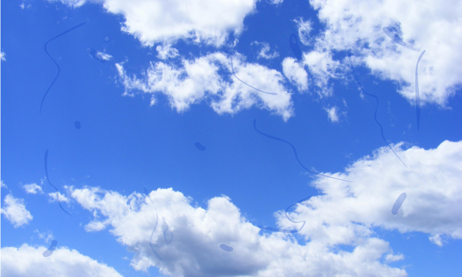 Floaters, Flashes, and When to Worry