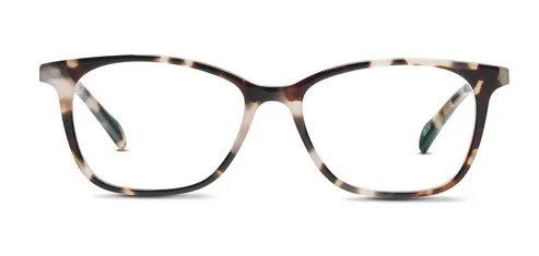 Bisque Havana Front1772759264.jpg