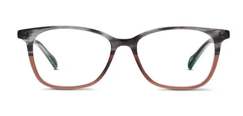 Grey Cinnamon Front1772759264.jpg