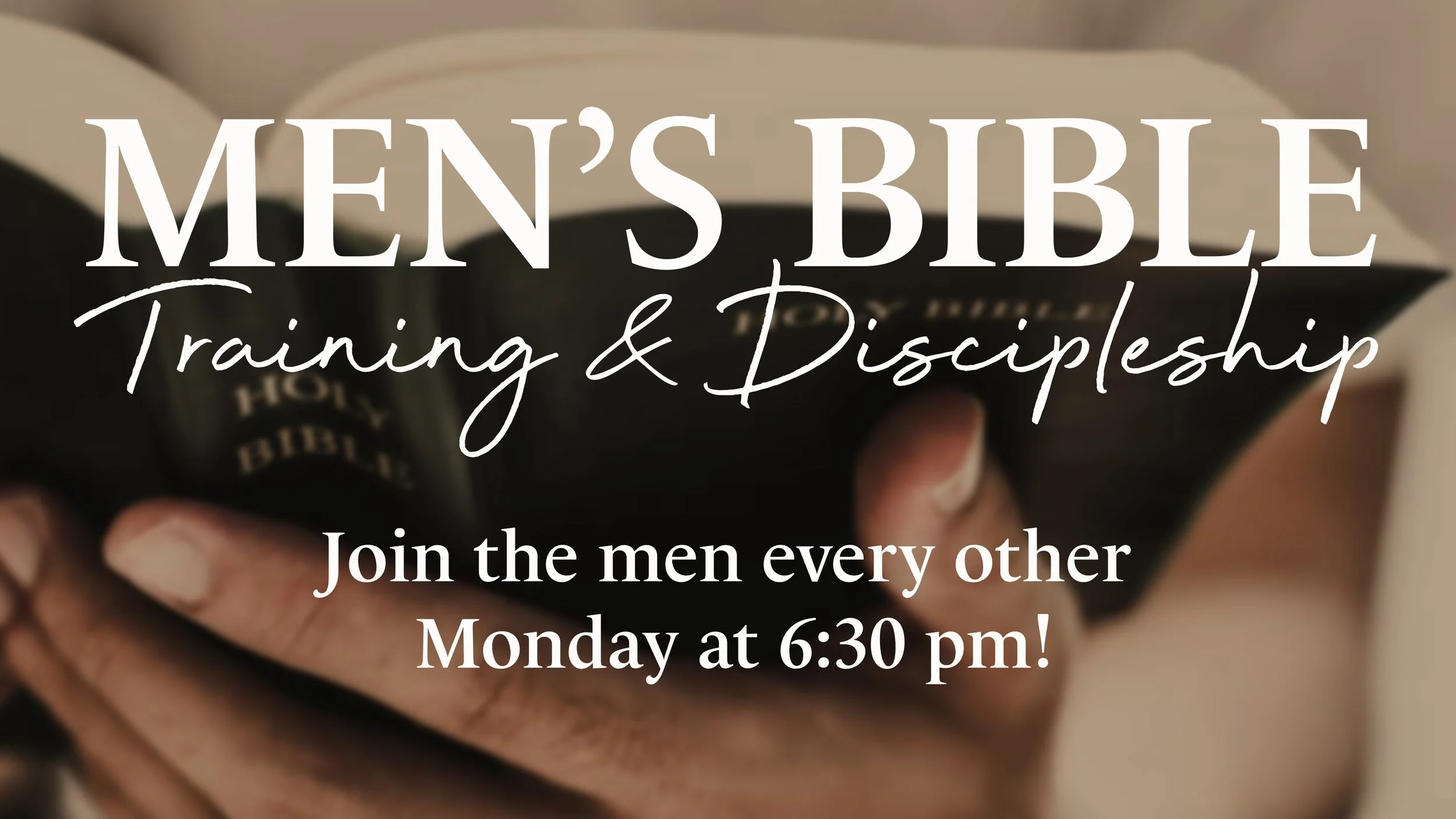 Men's Bible Training & Discipleship